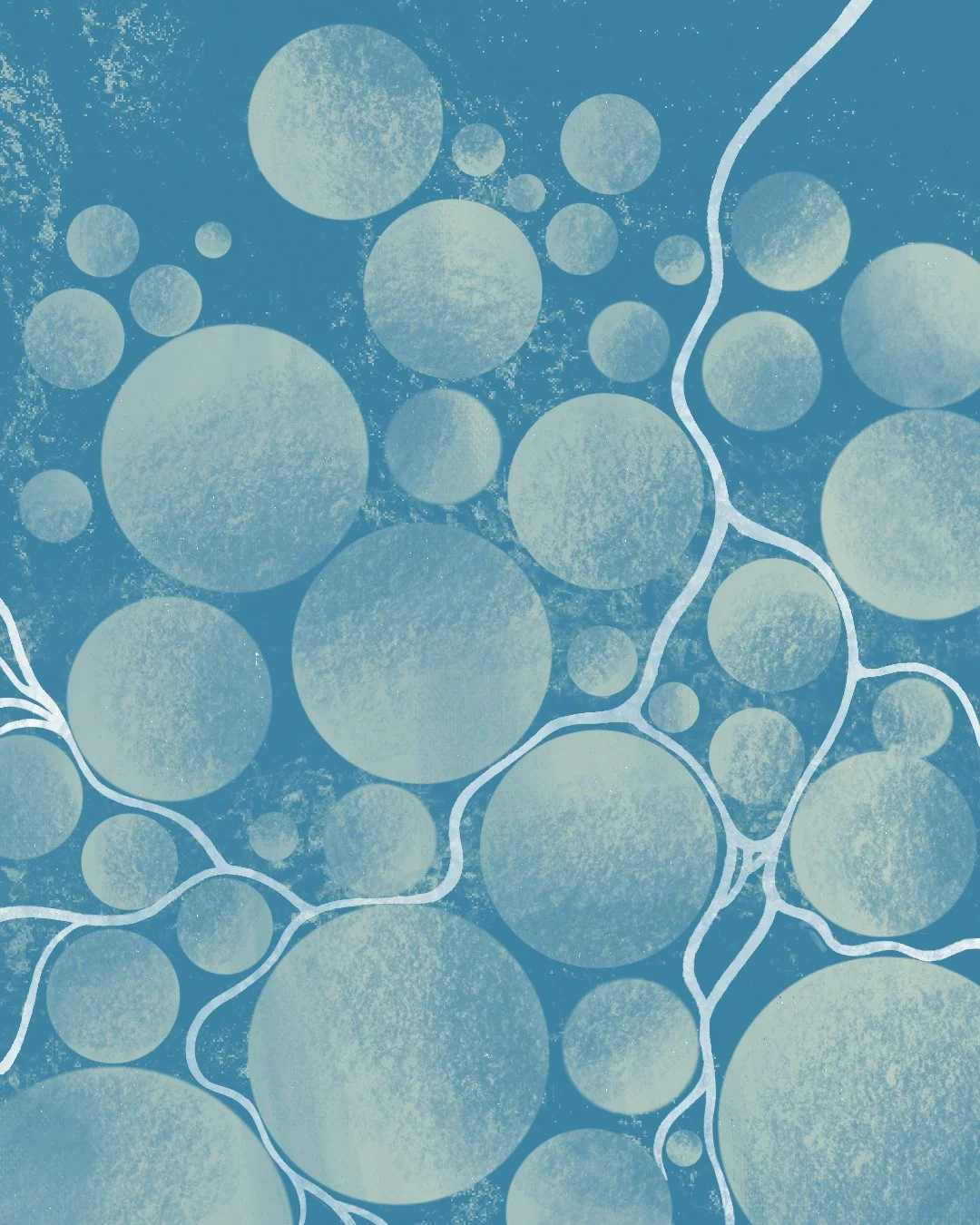 Studio Stello Visual Assets
