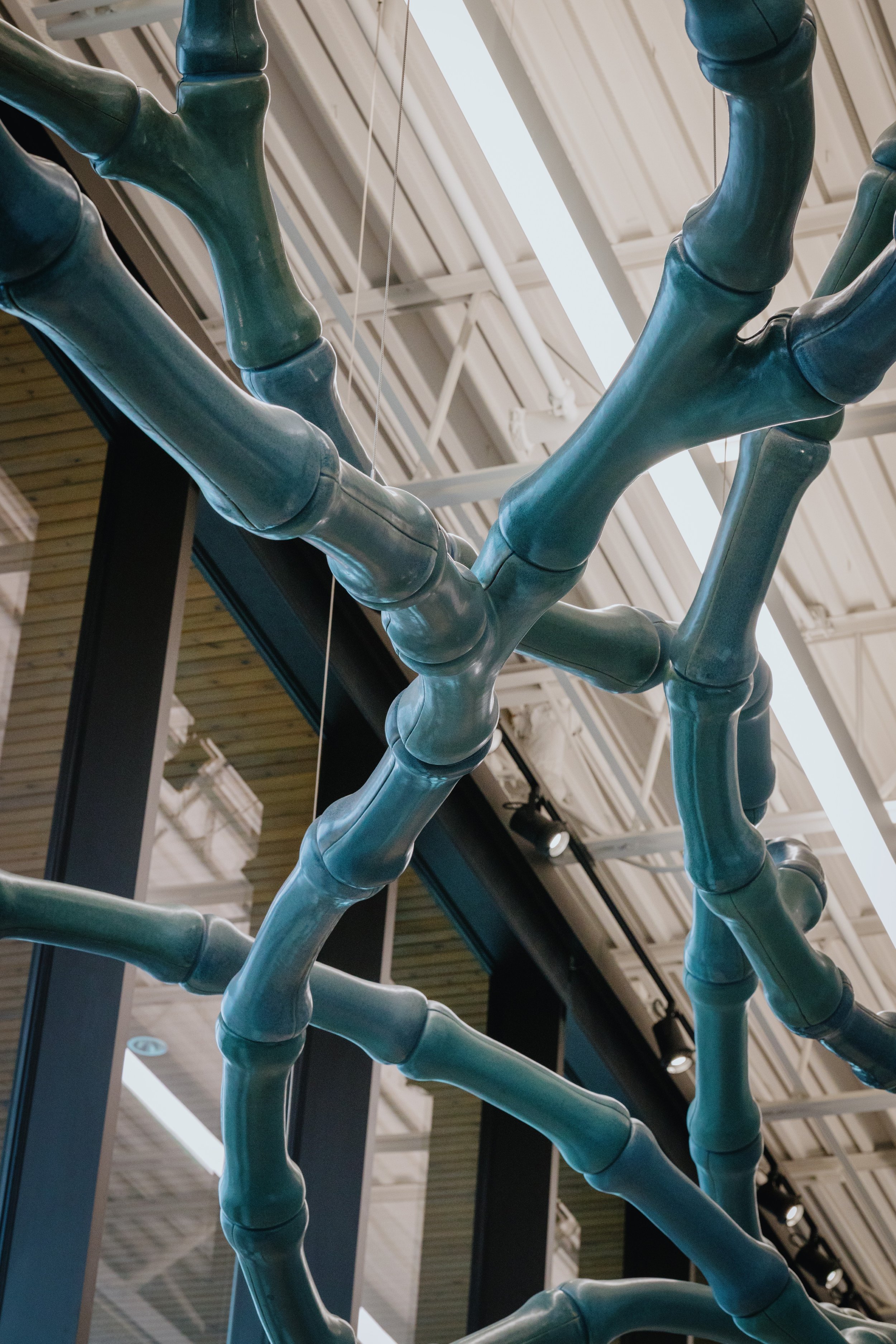 BTOATS_012_0077 (Custom).jpg