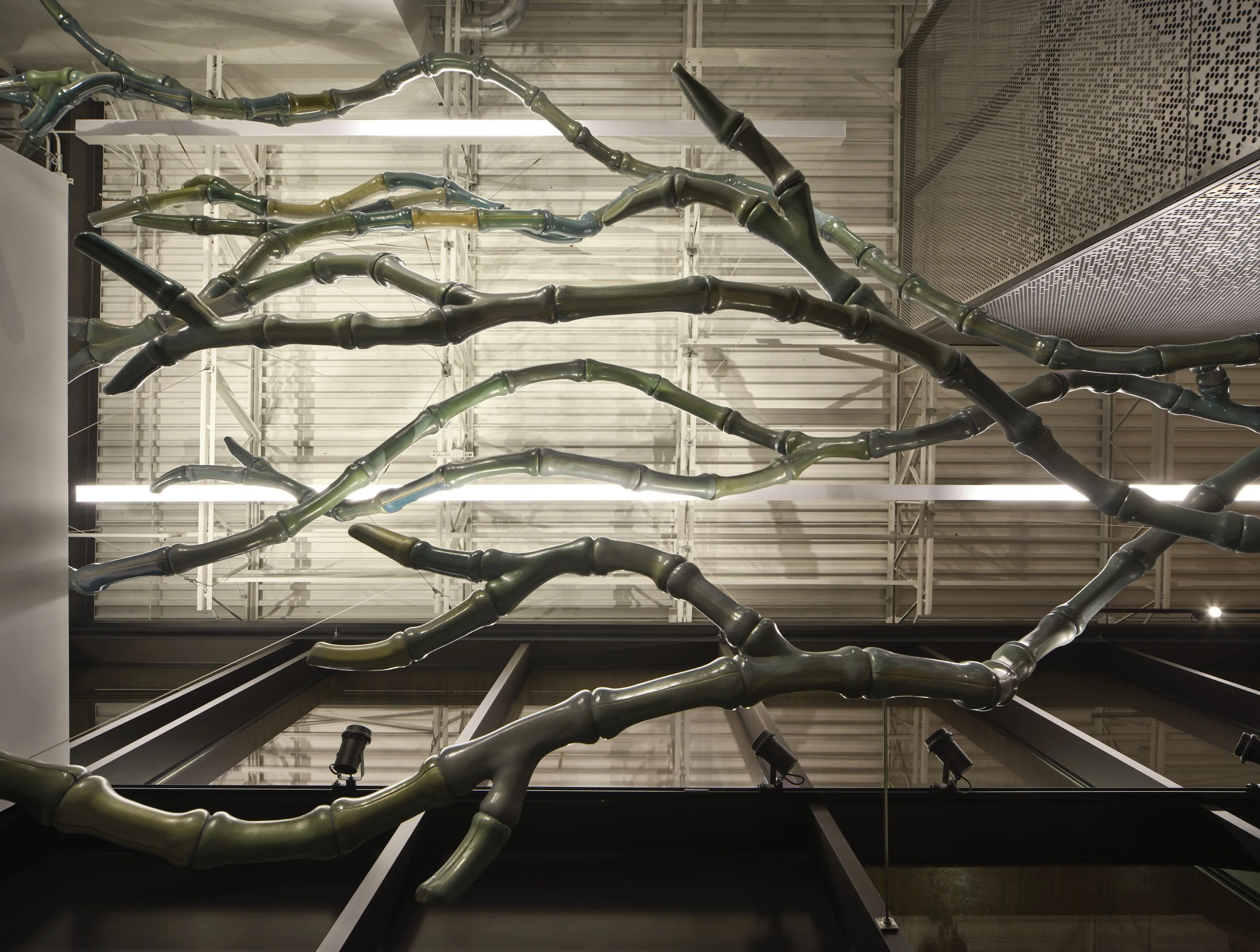 c_Artwork_BTOATS_3 (Custom).jpg