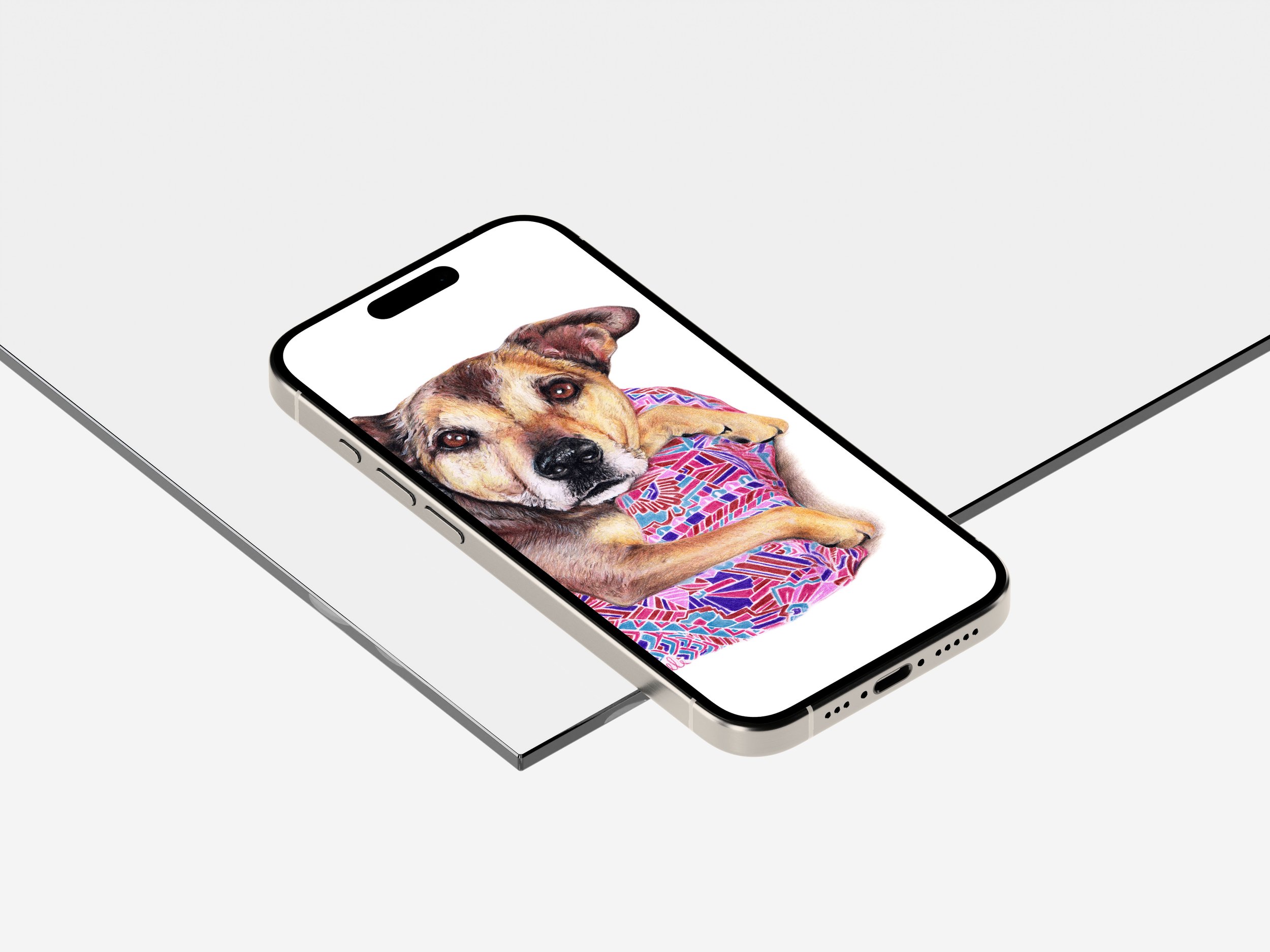 tom - mobile mock up 2.jpg