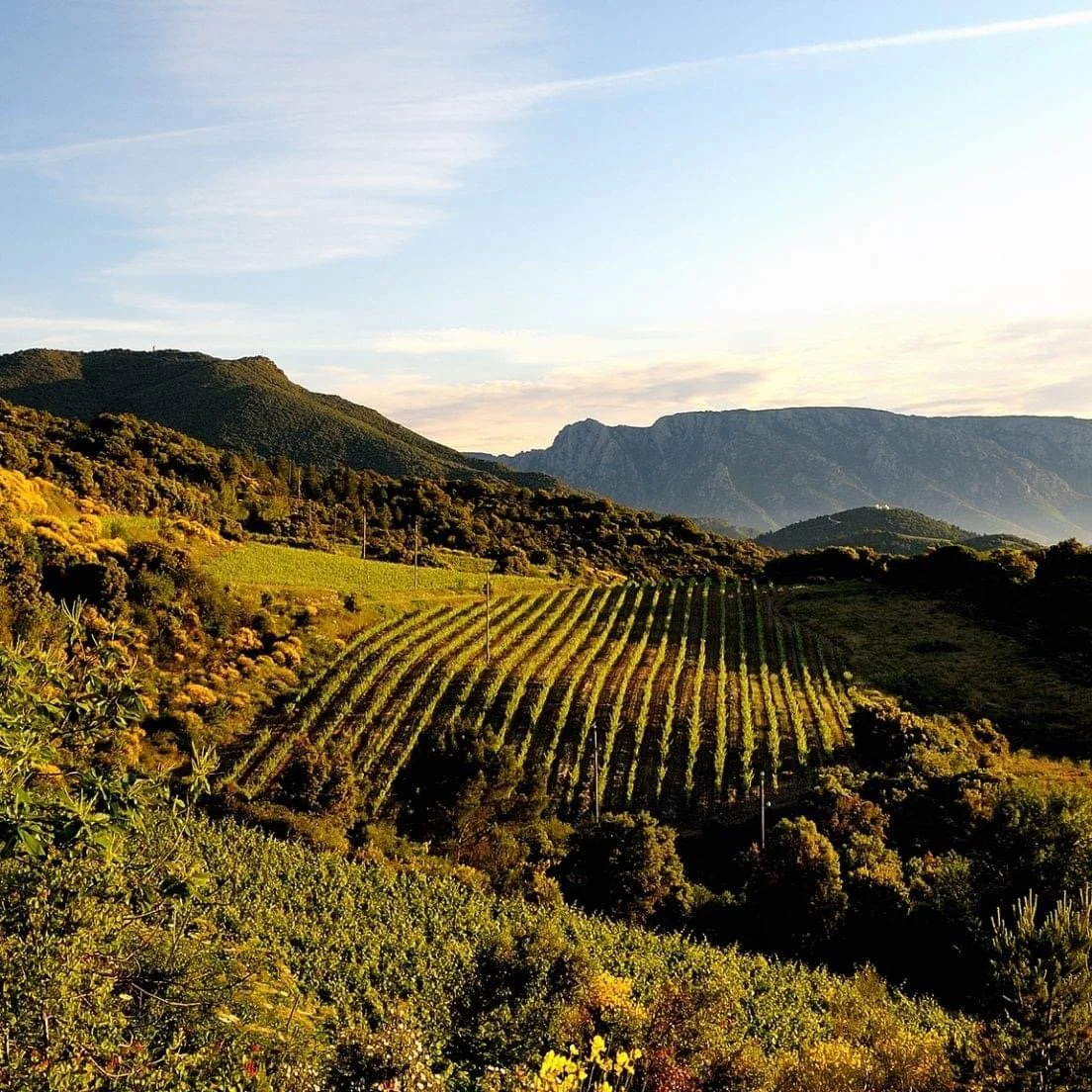 Friday Flight 8/8 - Languedoc Roussillon