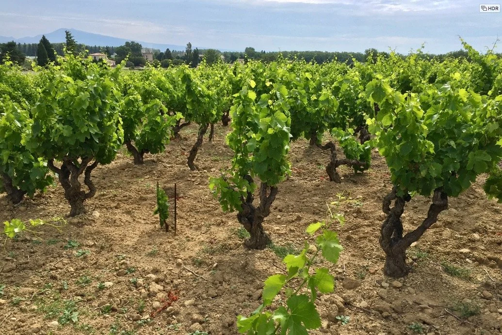 Friday Flight 11/14 : Spain