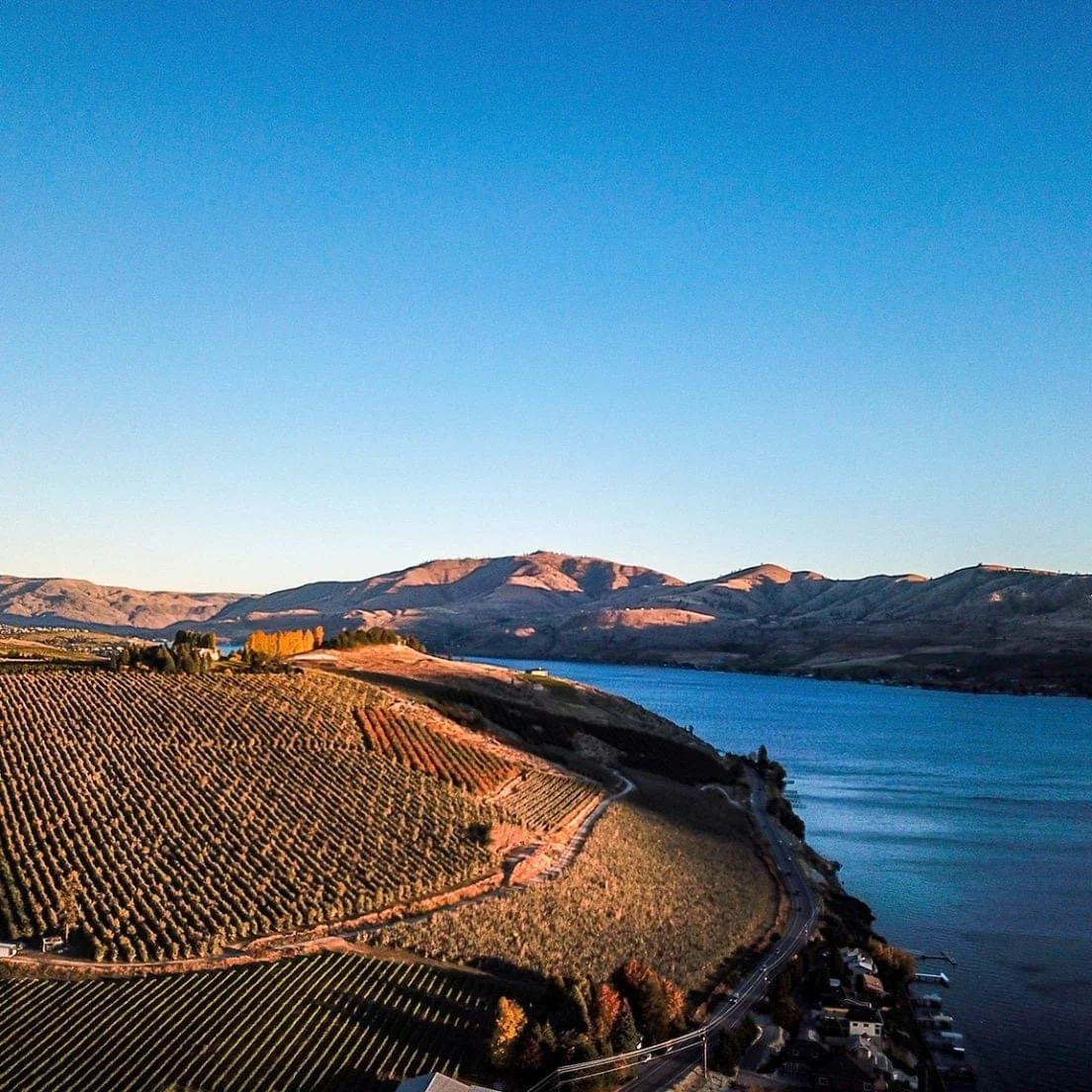 Friday Flight January 9th 