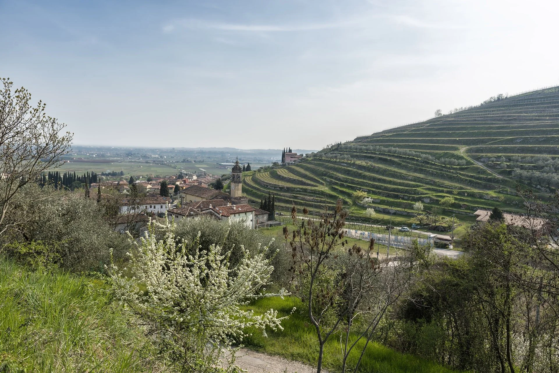 Friday Flight: Veneto July 10th 