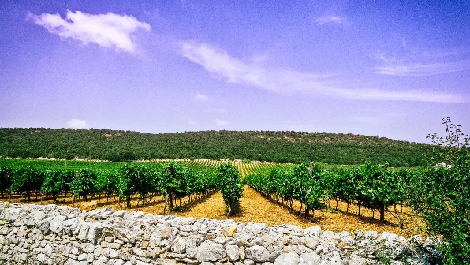 Friday Flight: Puglia 