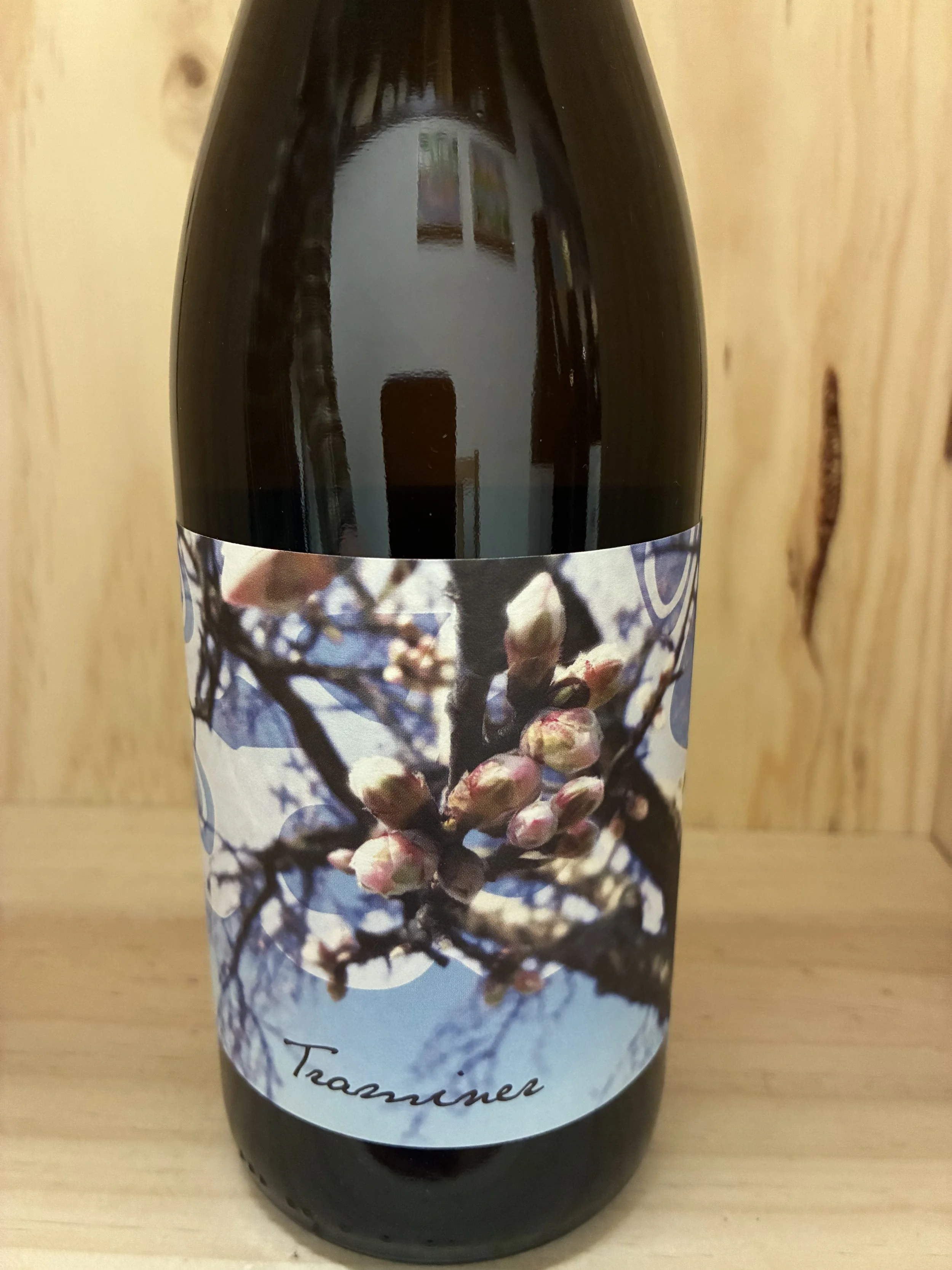 Judith Beck Traminer 2024 2024