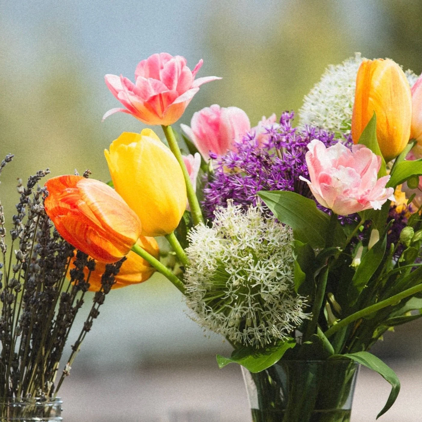 1LAUNCH BREWCREEK.jpg