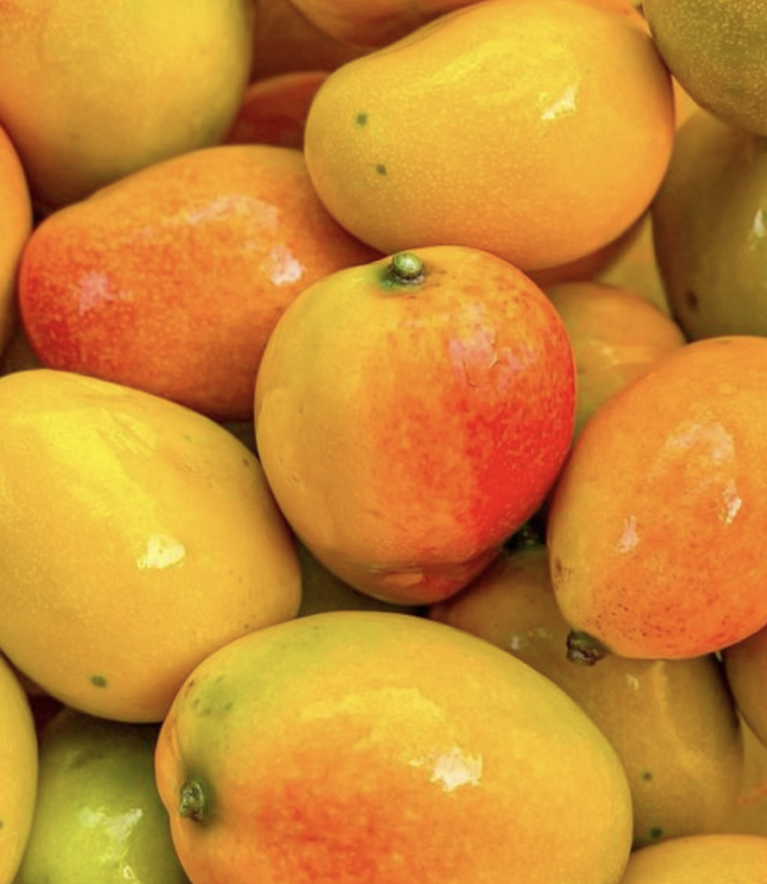 Organic Mango Butter