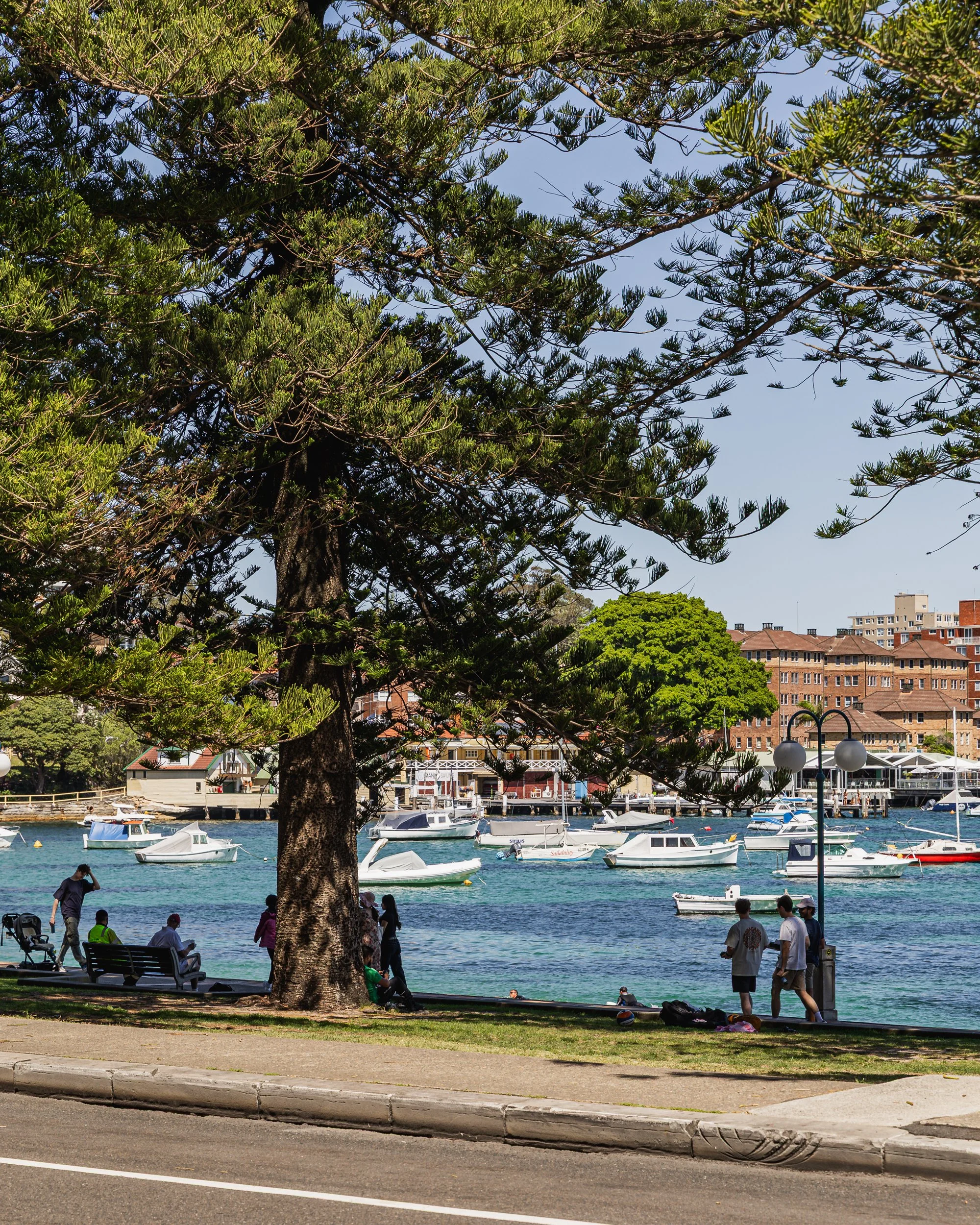 Garfish_Manly_Sep25_Credit_Jorge_Santos-010.jpg