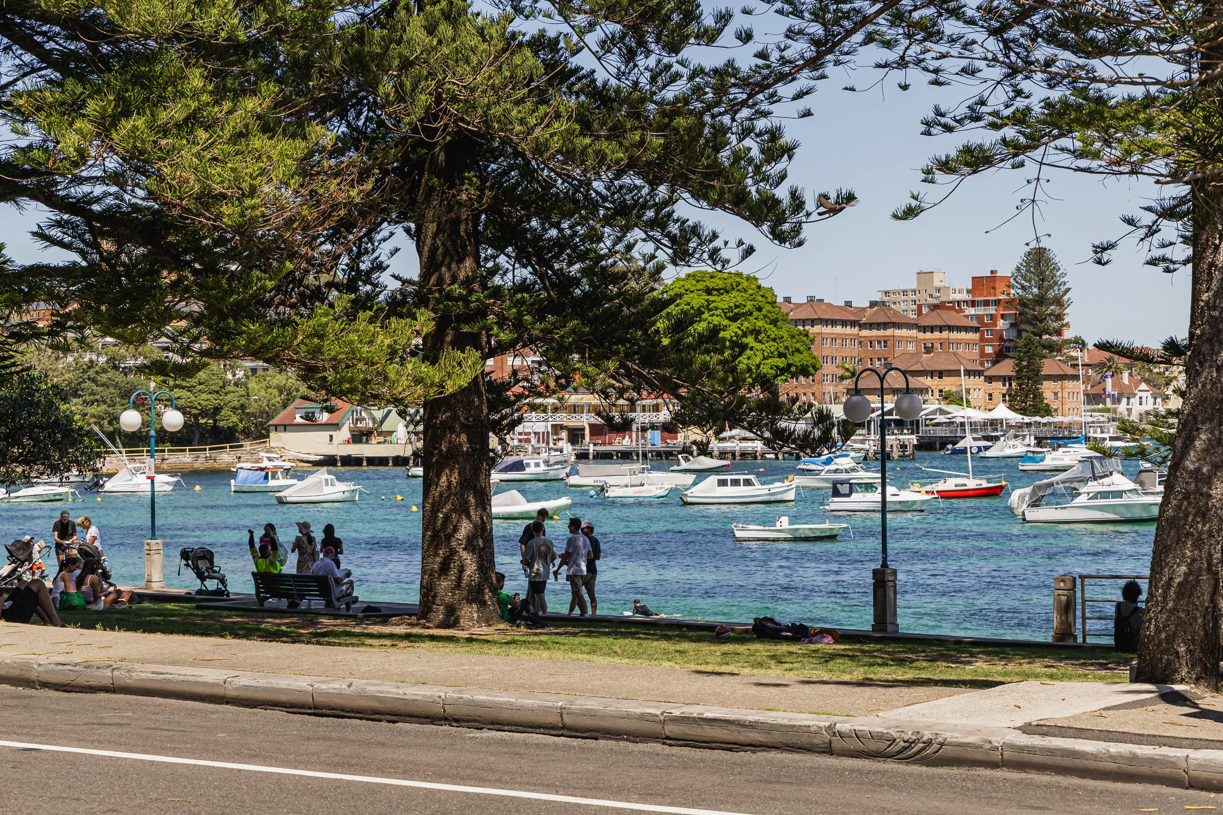 Garfish_Manly_Sep25_Credit_Jorge_Santos-009.jpg