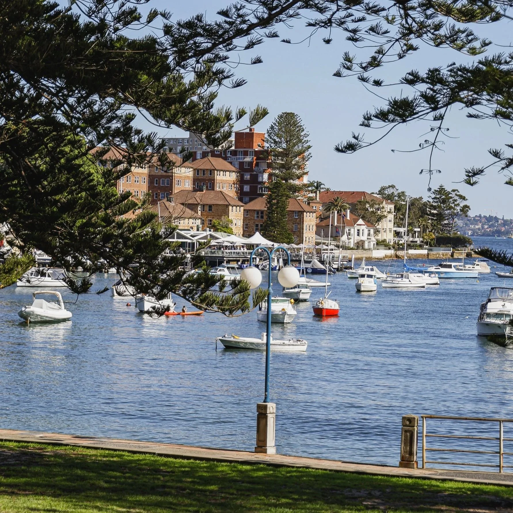 Garfish_Manly_Sep25_Credit_Jorge_Santos-015.jpg