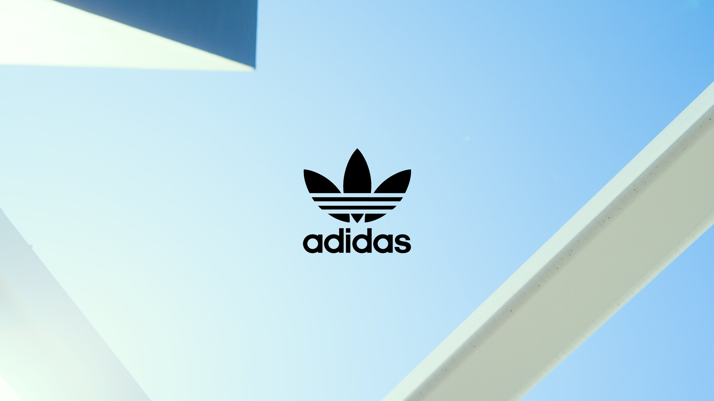Adidas x ZGF - Behind the Build - Documentary