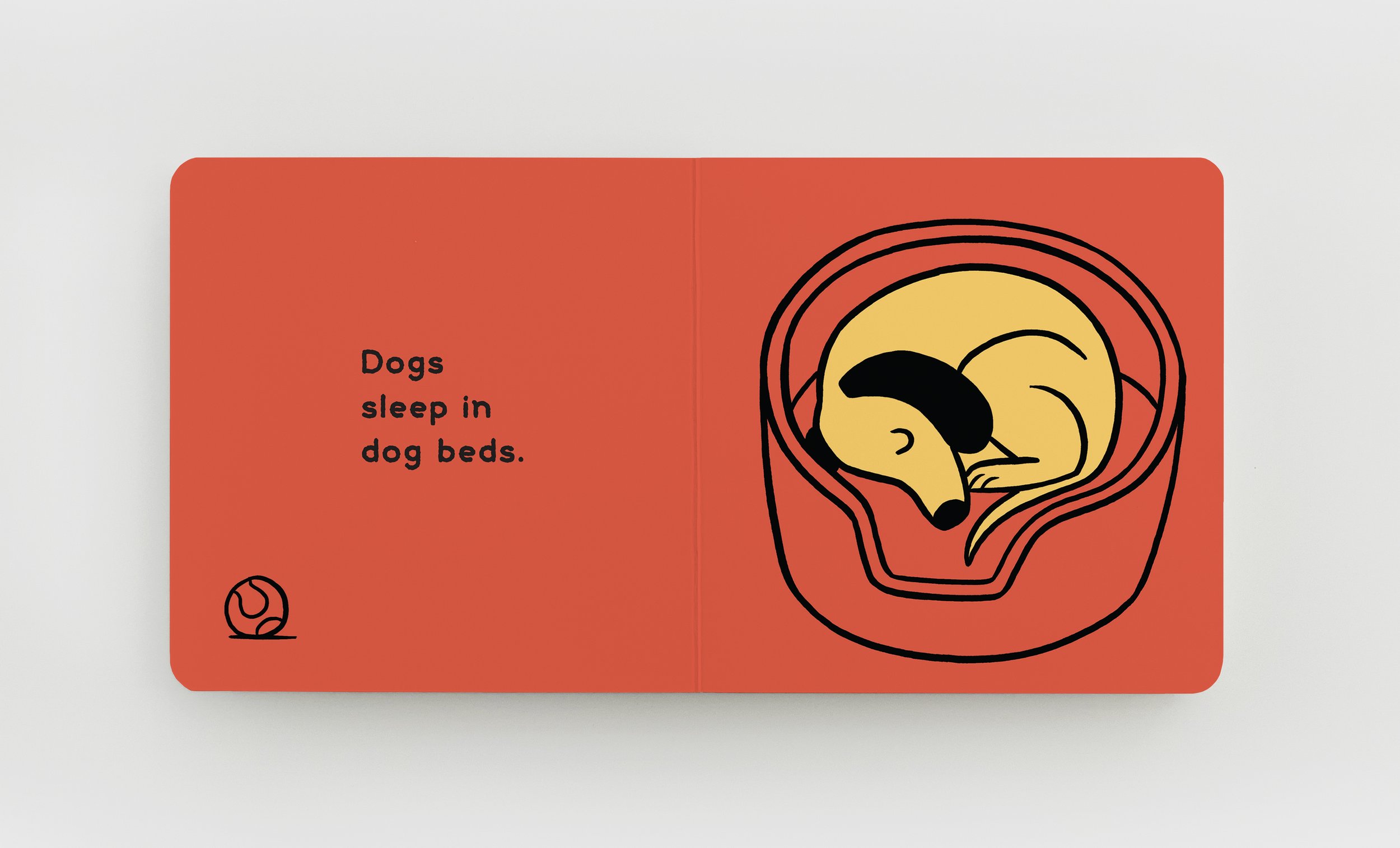 Where do they sleep? first spread.jpg