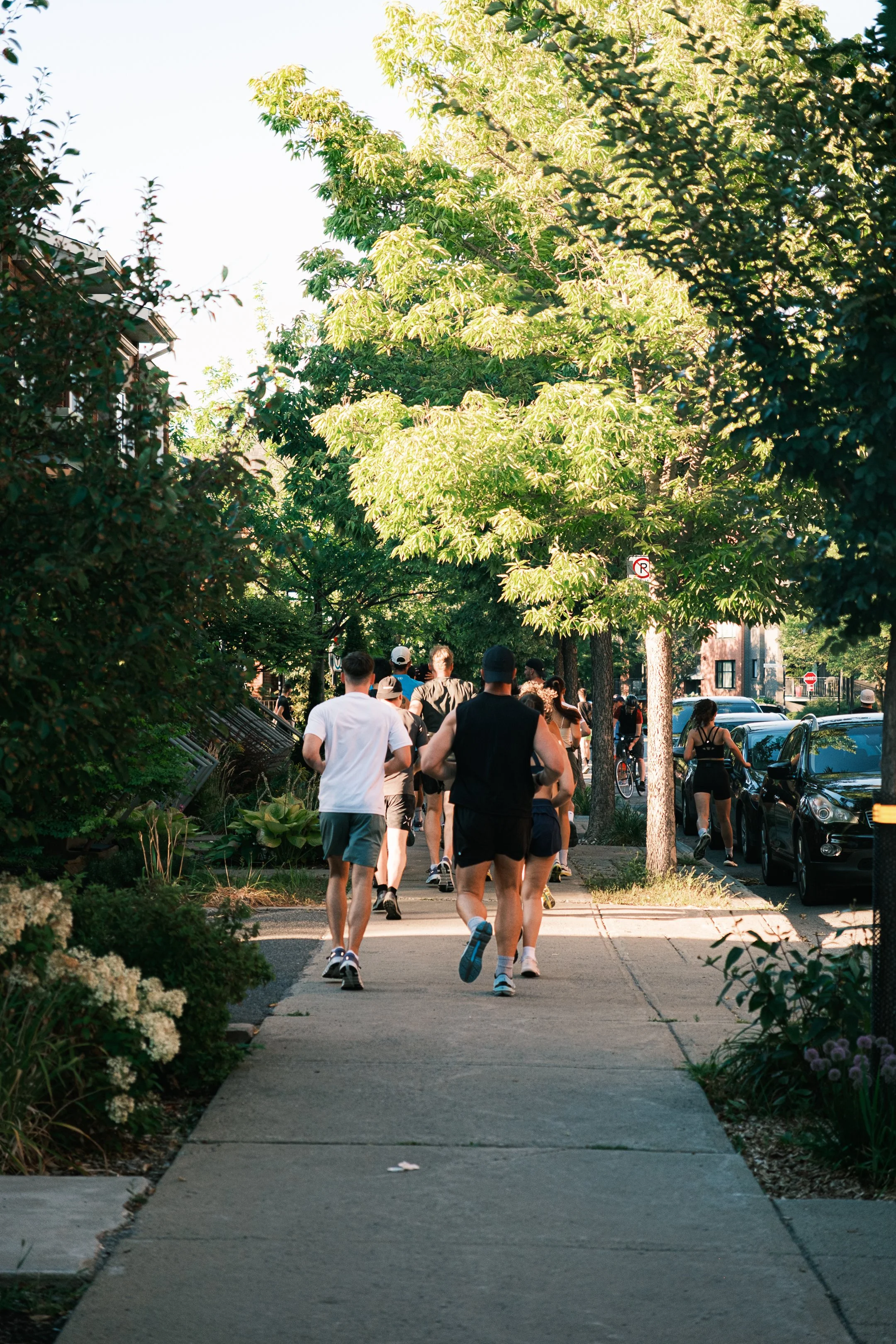 Locomotion x 6 am-14.jpg