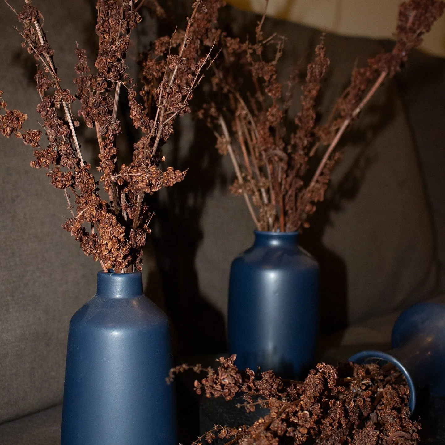 Looking for the perfect vase filler? Discover Dried Crispus, a rust brown accent that beautifully complements any vase or arrangement. Visit our website and order yours today! Link in bio.