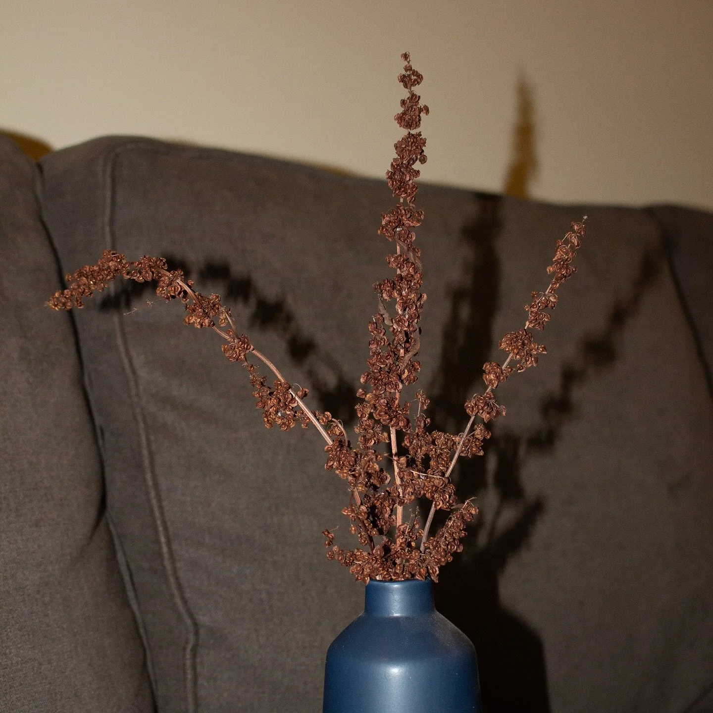 These elegant florals add warmth and sophistication, elevating your decor with effortless charm. 
 
- Lasts for seasons with proper care
- Includes 3 stems per bunch
- Ideal for bouquets, centerpieces, and all around decor 
 
Visit our website today,