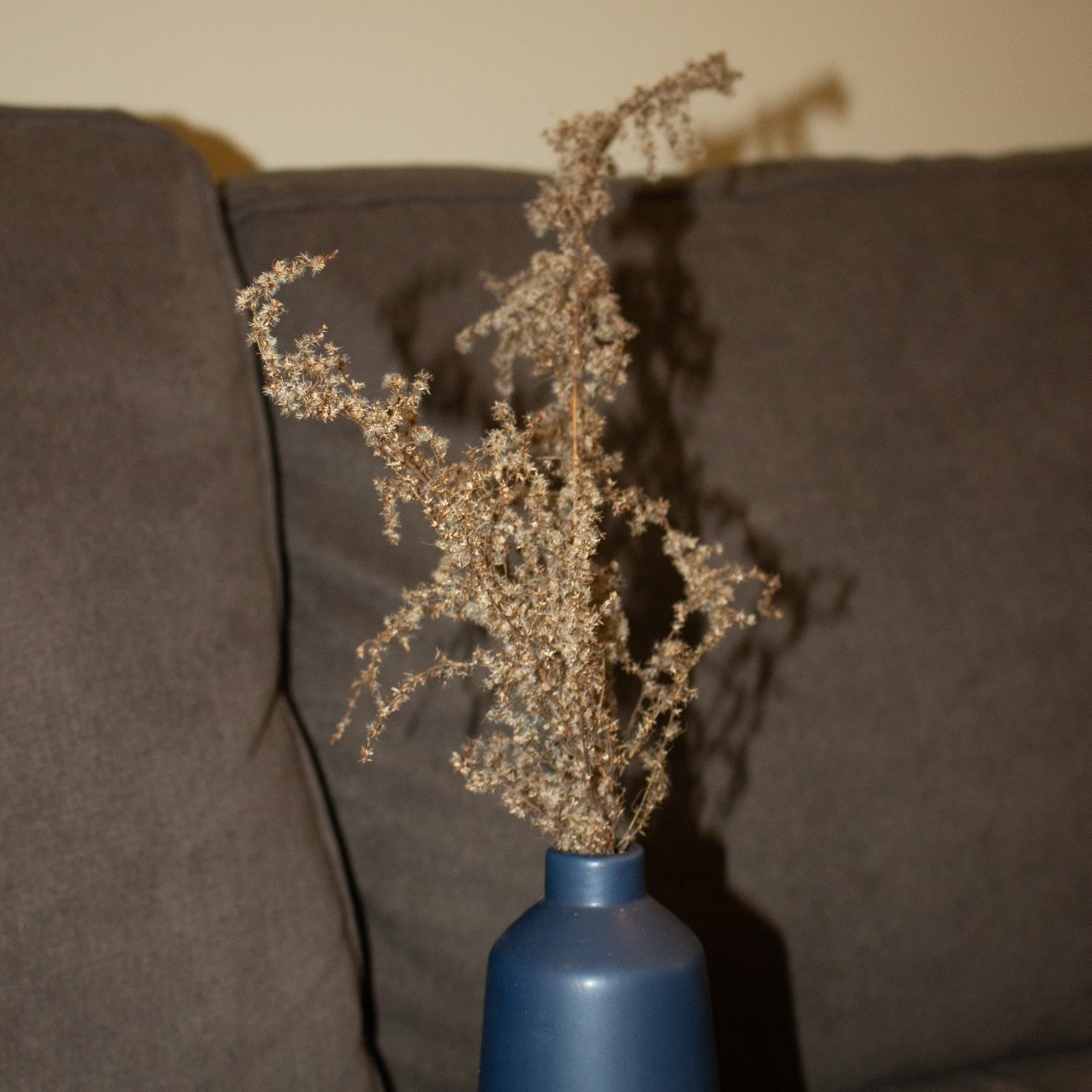 Style a single bunch of Eupafolium for an understated, airy look, or gather two or three bunches for a fuller, display that will last season after season.

&bull; Each bunch includes 4 stems
&bull; Long lasting and low maintenance
&bull; Perfect for 