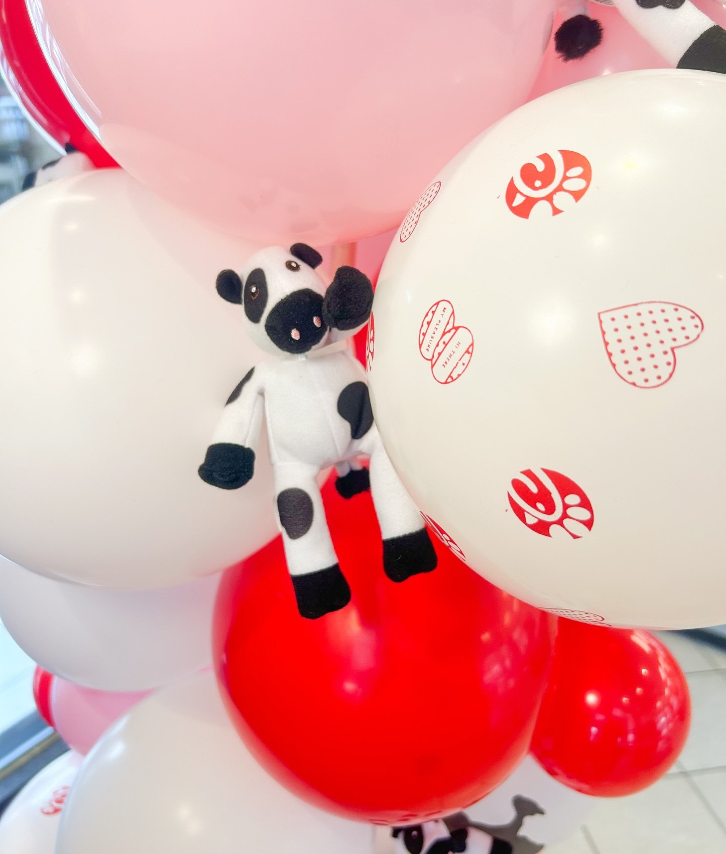 February 10, 2025: We even sprinkled in some of their cows to top it off! It all turned out amazing and set the tone for a wonderful family night. #BNBtower @cfadawsonville