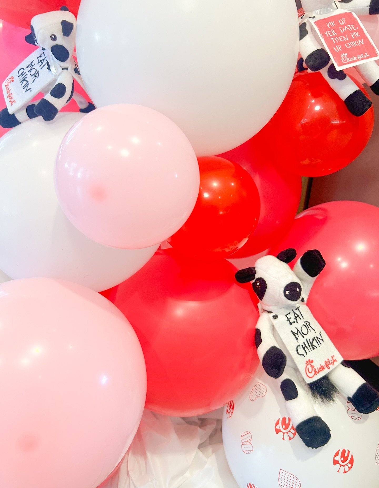 February 10, 2025: Every month, Chick-fil-A hosts a family night at their Dahlonega and Dawsonville stores. To top it all off, we get to set the tone with our balloons. We&rsquo;re honored to be a part of such a special event. #BNBtower @cfadahlonega