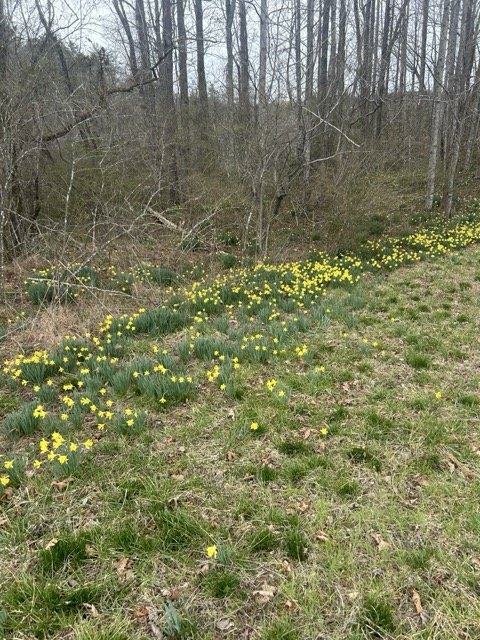 March