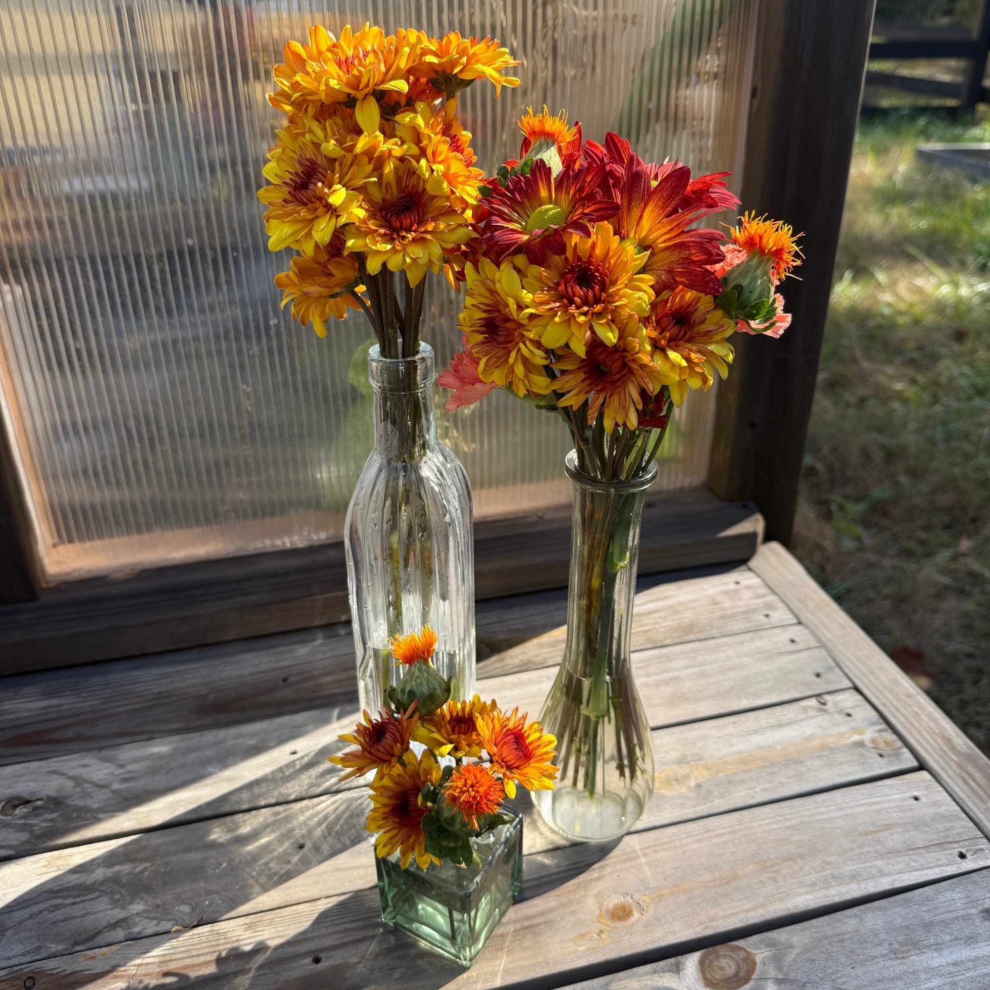 Your paragraph text - 2.jpeg