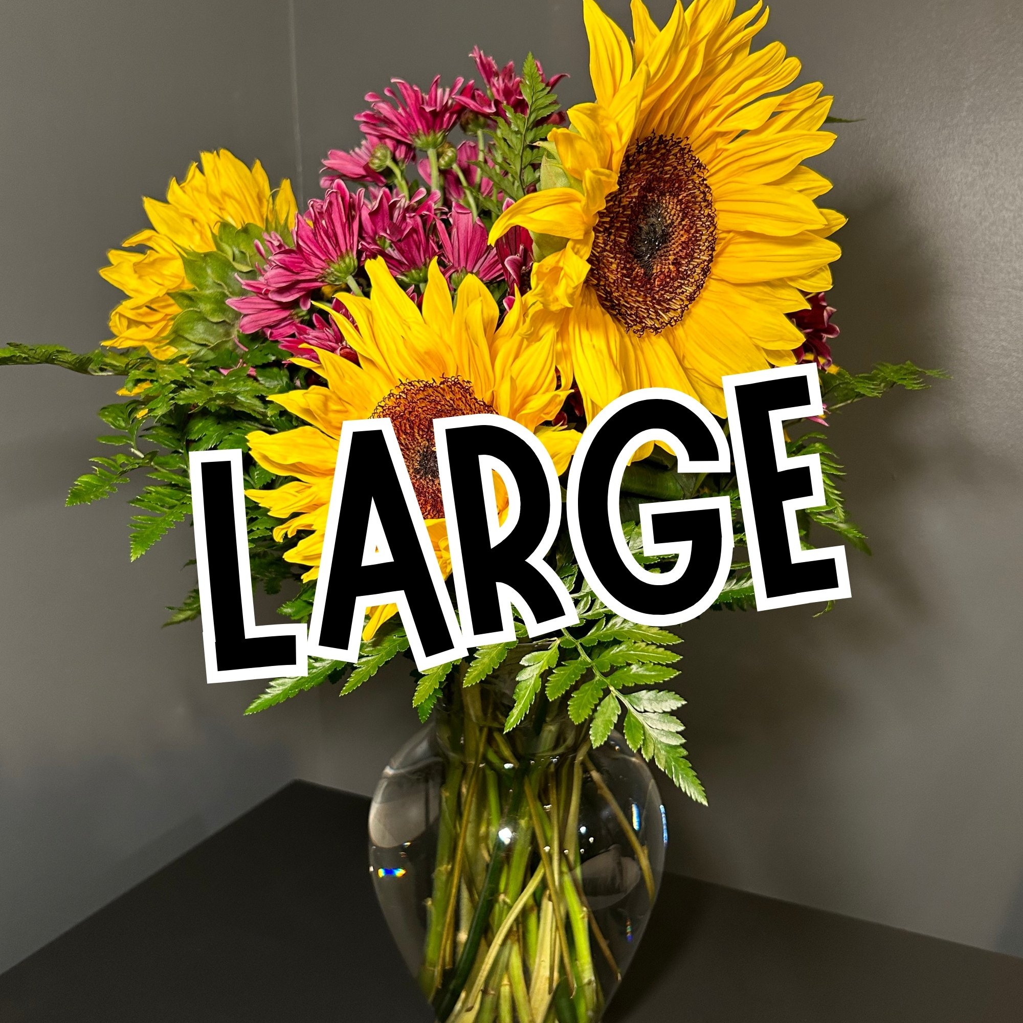 Spotlight Arrangement