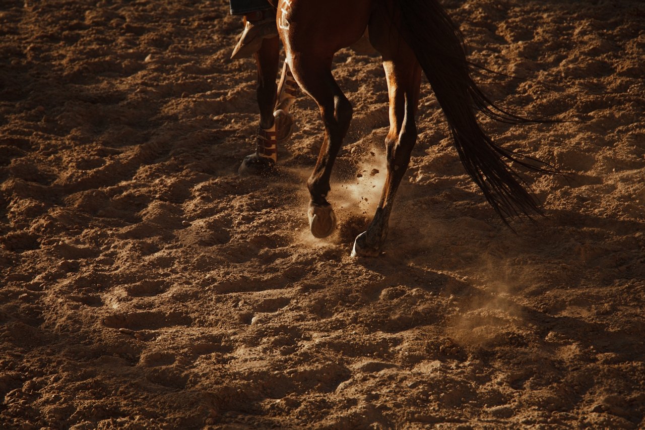 DTS_CHARROS_gabriela_&_henrik_Photos_ID13020.jpg