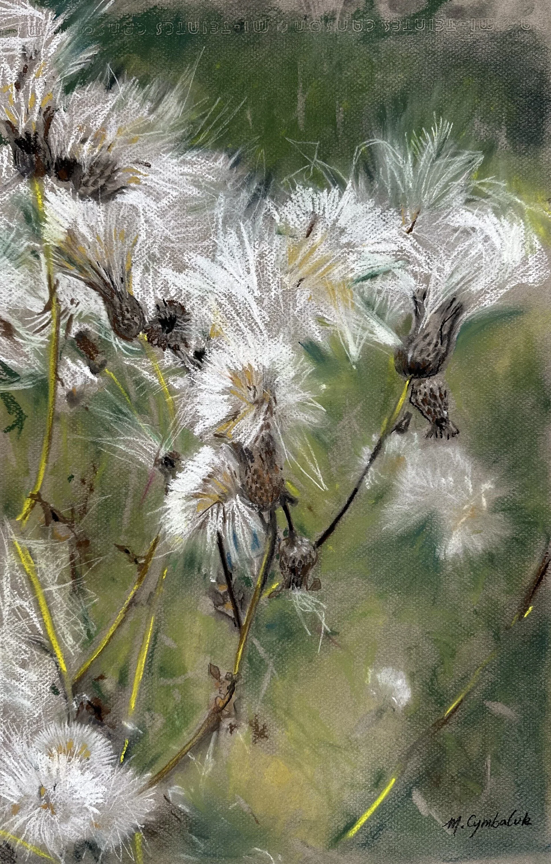 Thistles in Bloom II
Pastel, 11 × 13 inches, 2025