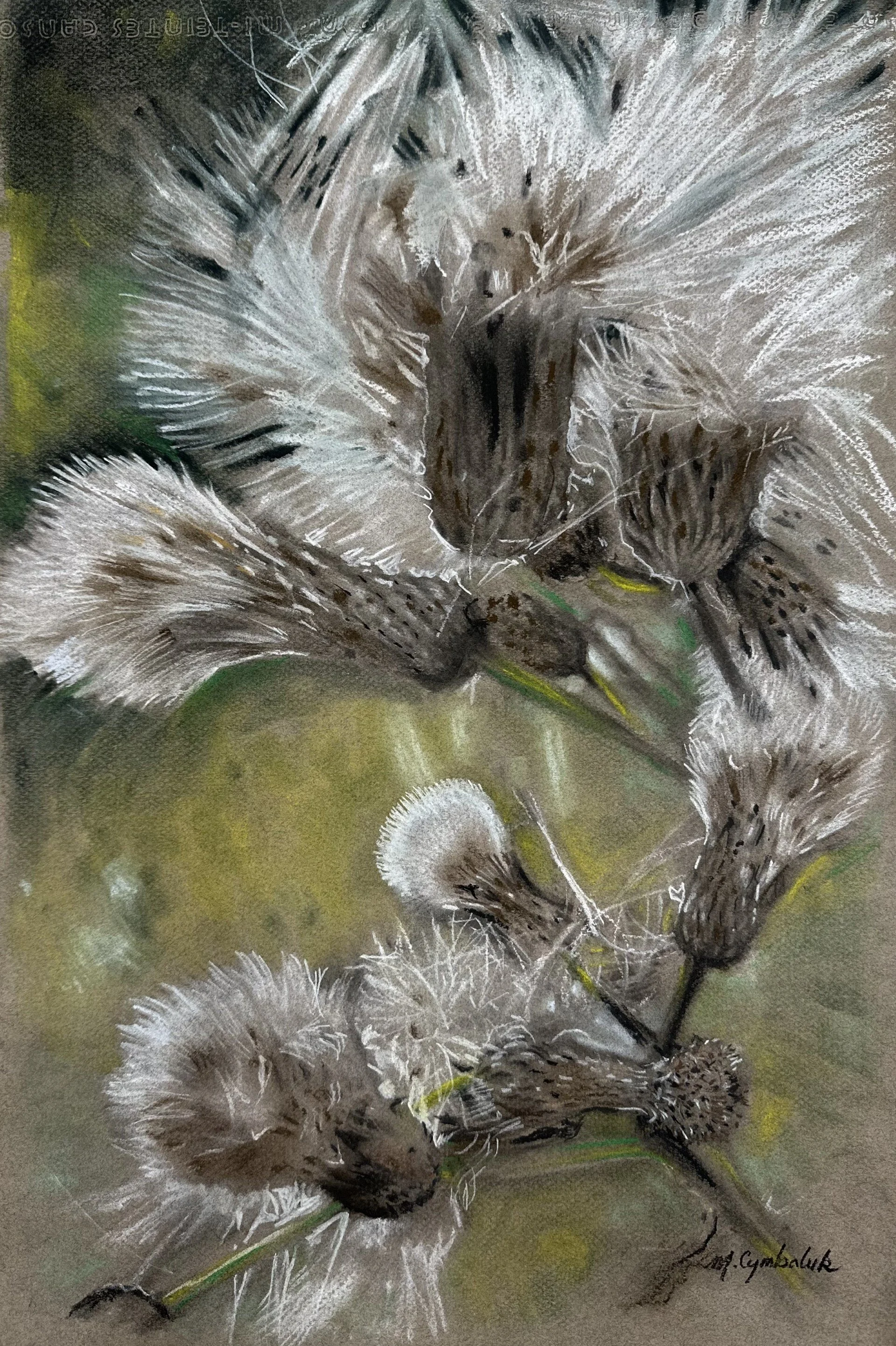 Thistles in Bloom I
Pastel, 11 × 13 inches, 2025
