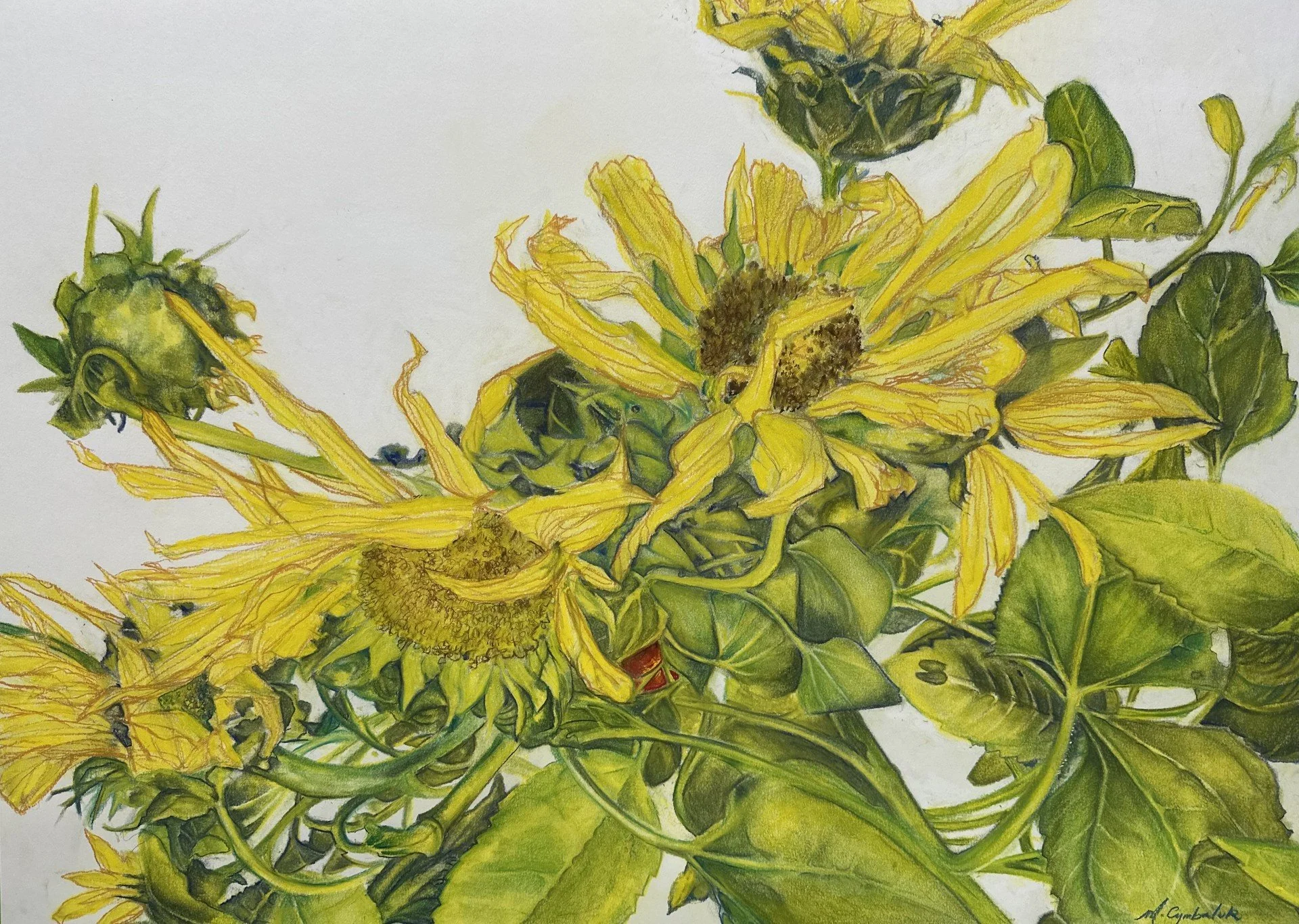 Sunflowers
Pastel on paper, 25 x 37 inches (framed) 2025
