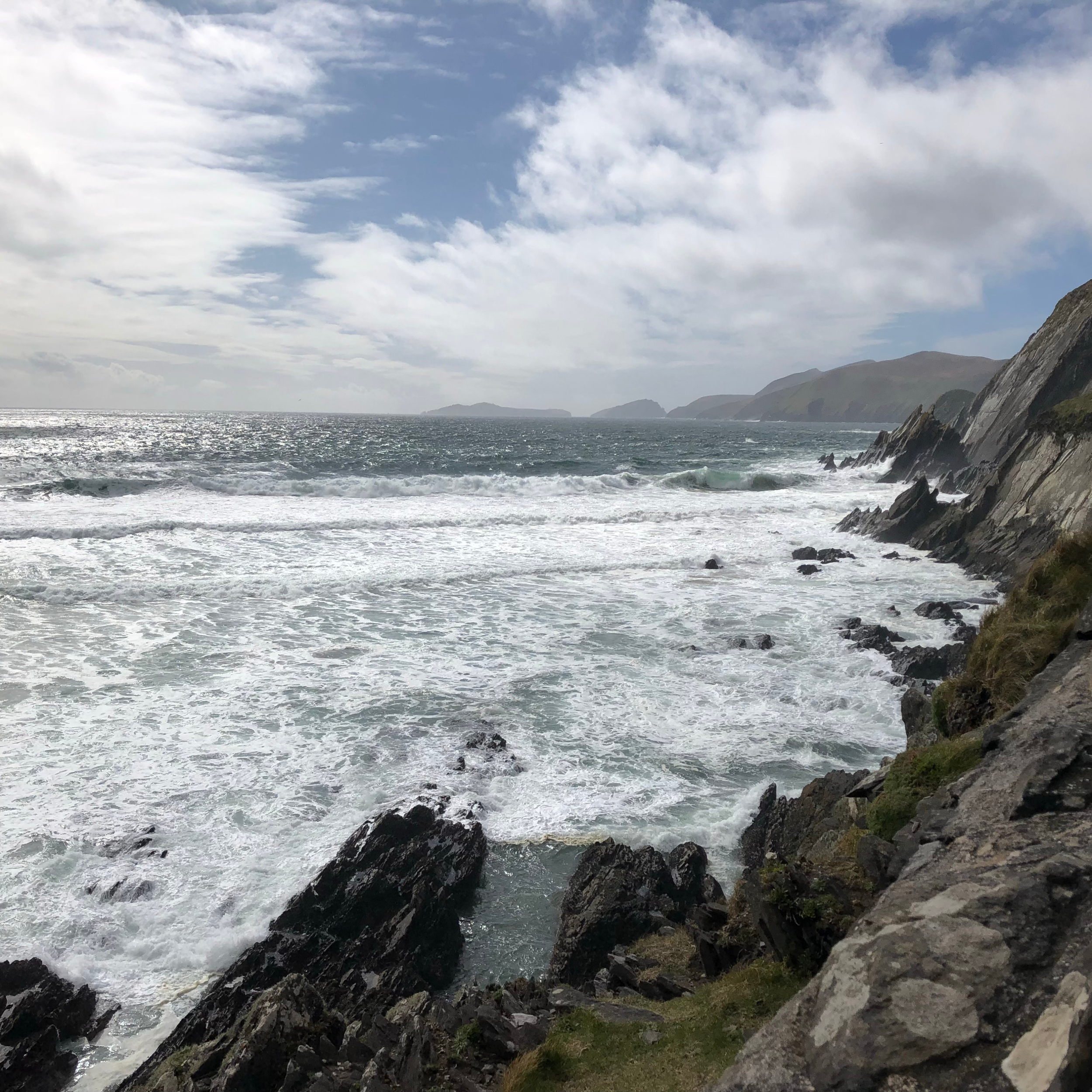 Cream Flower Icon Floral Logo.png