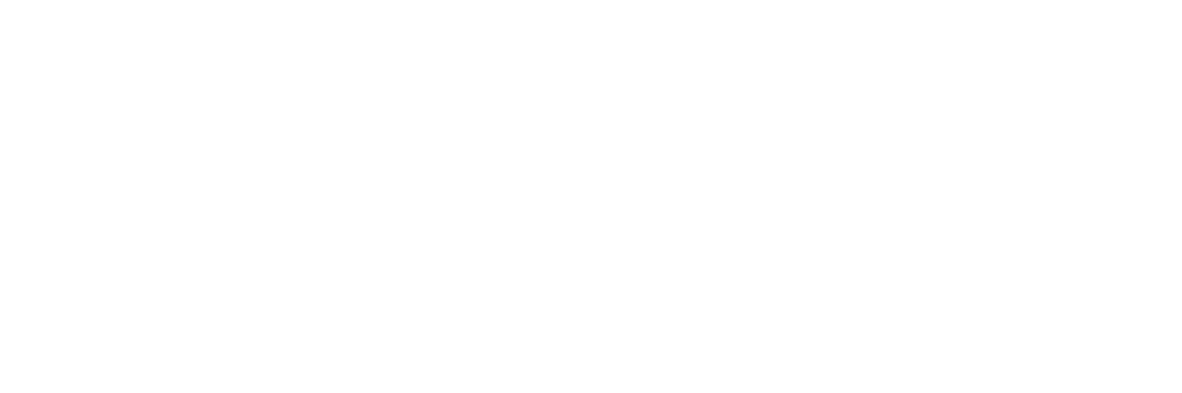 Rhystic Media