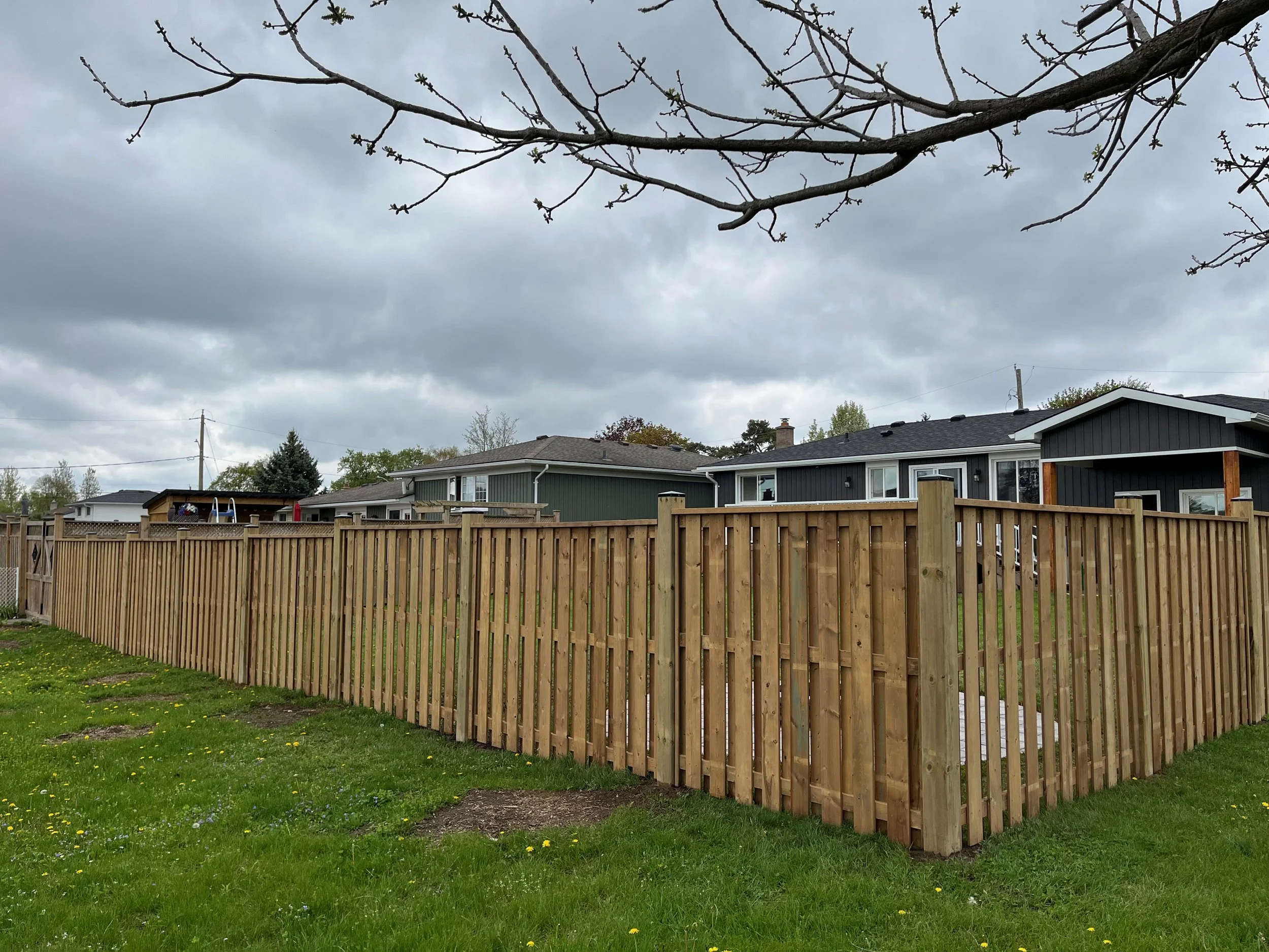 Fence, fencing, privacy fence