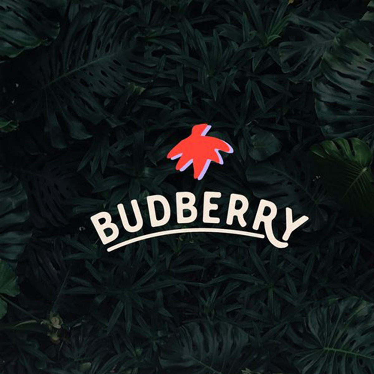 budberry_logo_2.png
