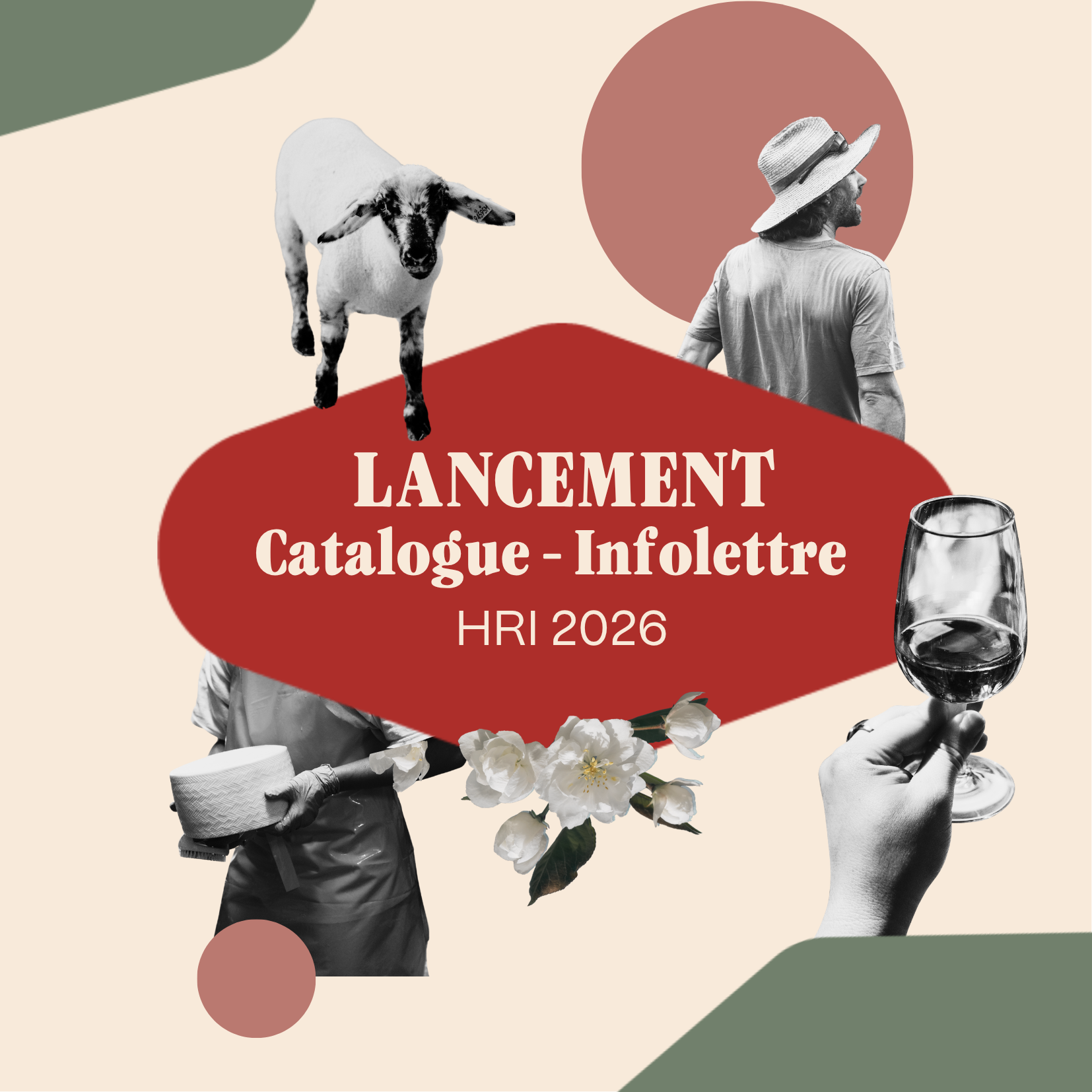 Lancement 2026 - Catalogue et infolettre HRI