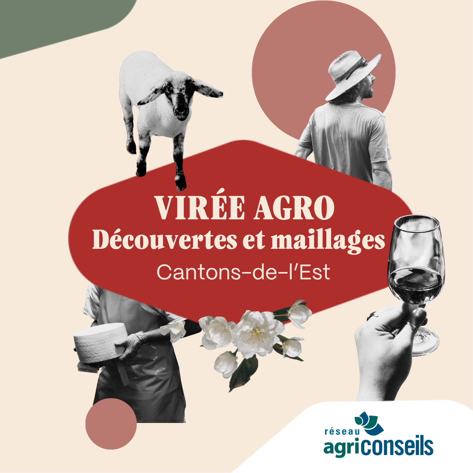 image promotionnelle de la virée avec une brebis, un maraîcher, une coupe de vin et du fromage