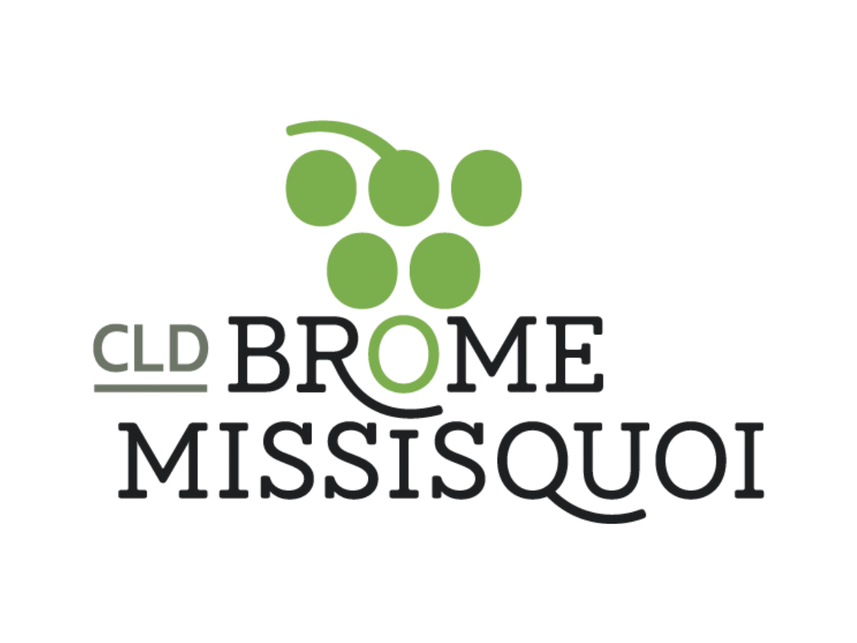 Un logo du fournisseur d'accès internet Routeur WiFi en vert, noir, gris sur un fond blanc.