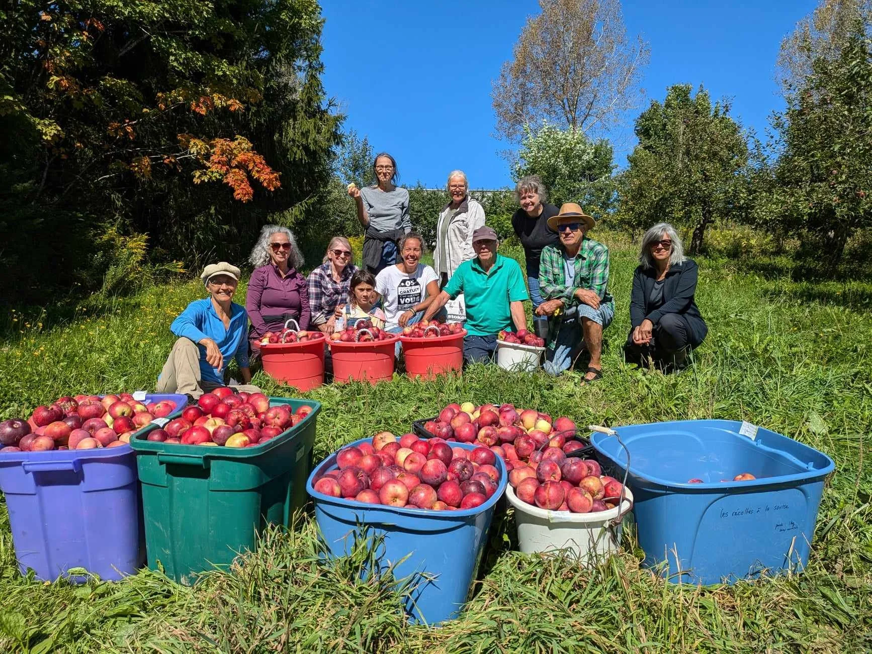 Plusieurs femmes et hommes qui posent devamt des bacs de pommes fraîchement cueillies