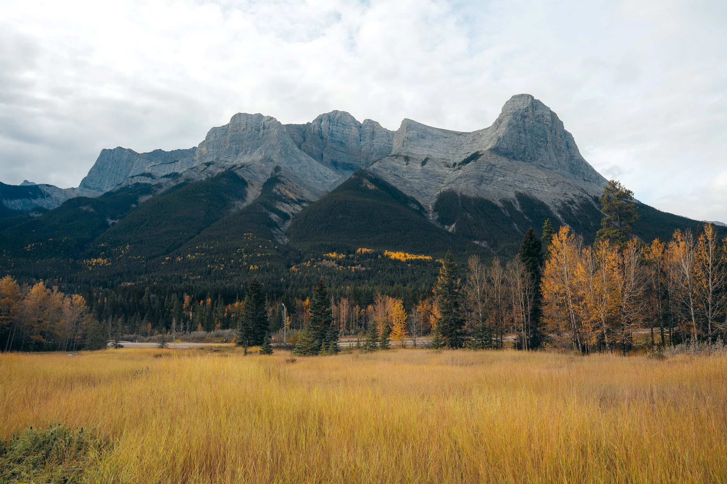 Rundleview Greenspace Photo Fall 2025.jpg