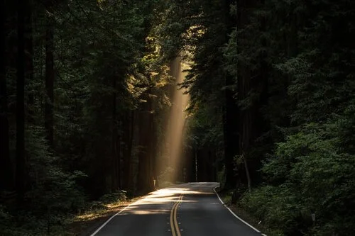 The Spiritual Direction Formation Program