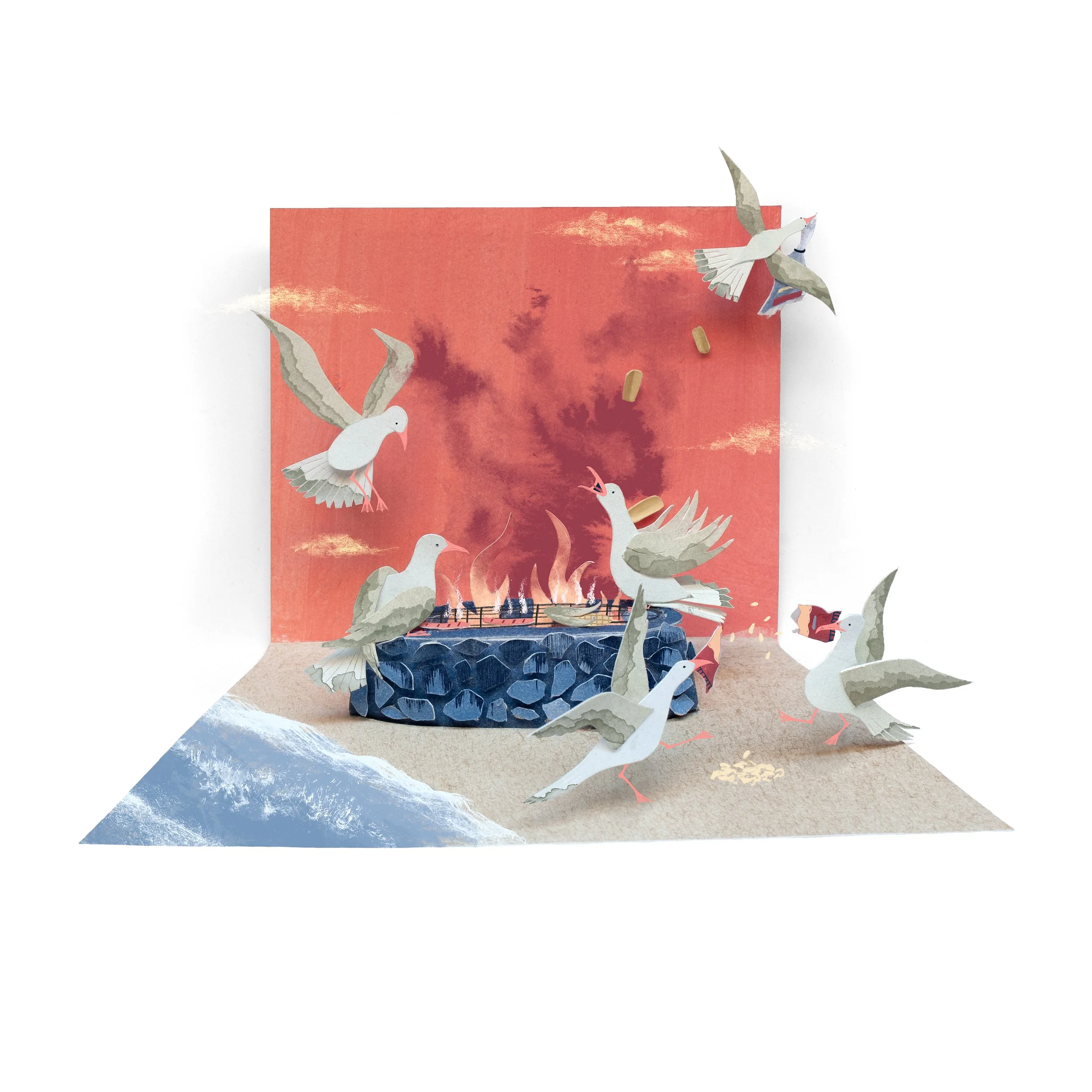 Seagull Summers