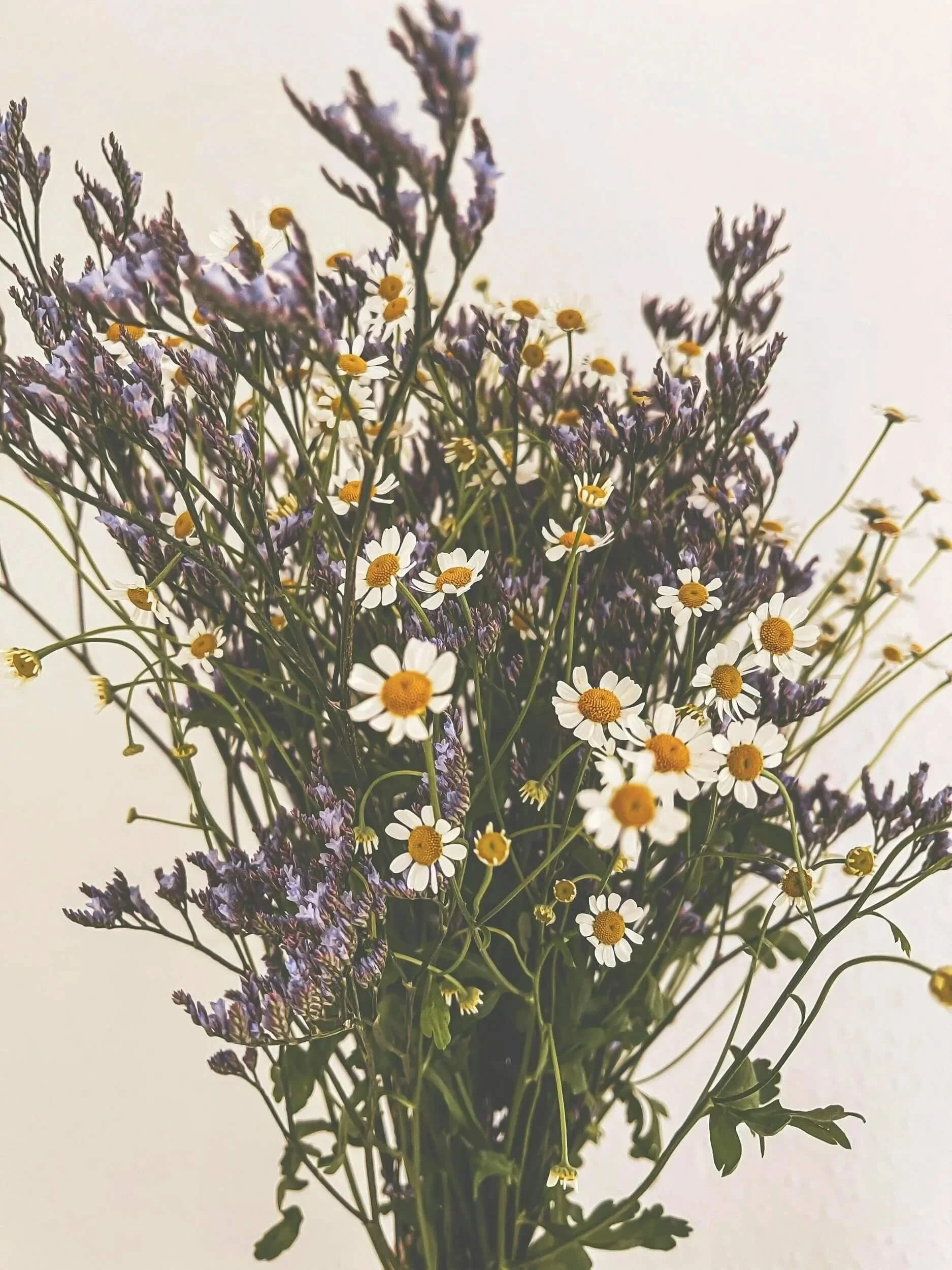 therapy in mission viejo botanical floral bouquet white flowers purple flowers green filler flowers