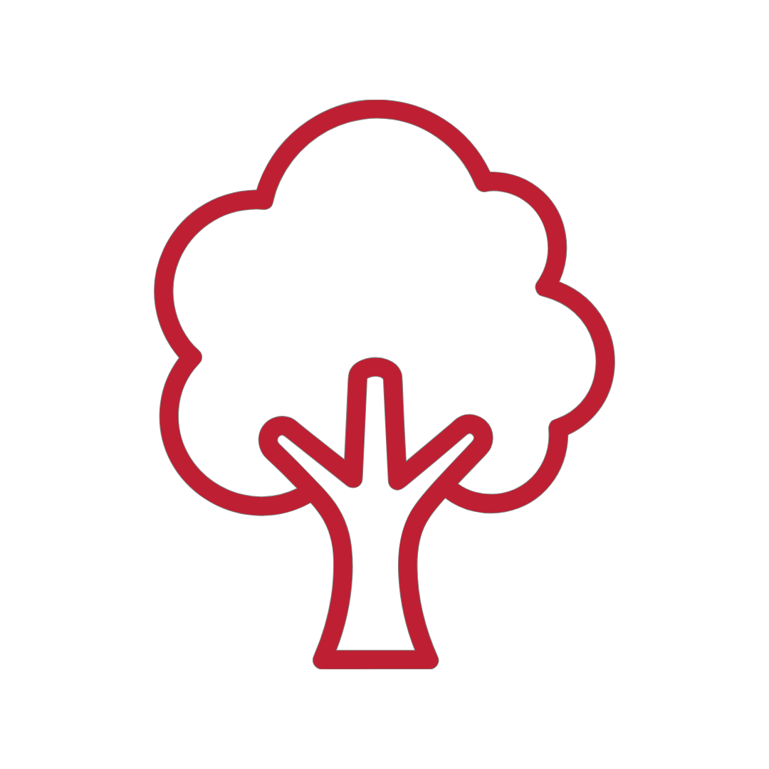 Line drawing of a tree with a cloud-like canopy and a trunk with a branch, outlined in burgundy.