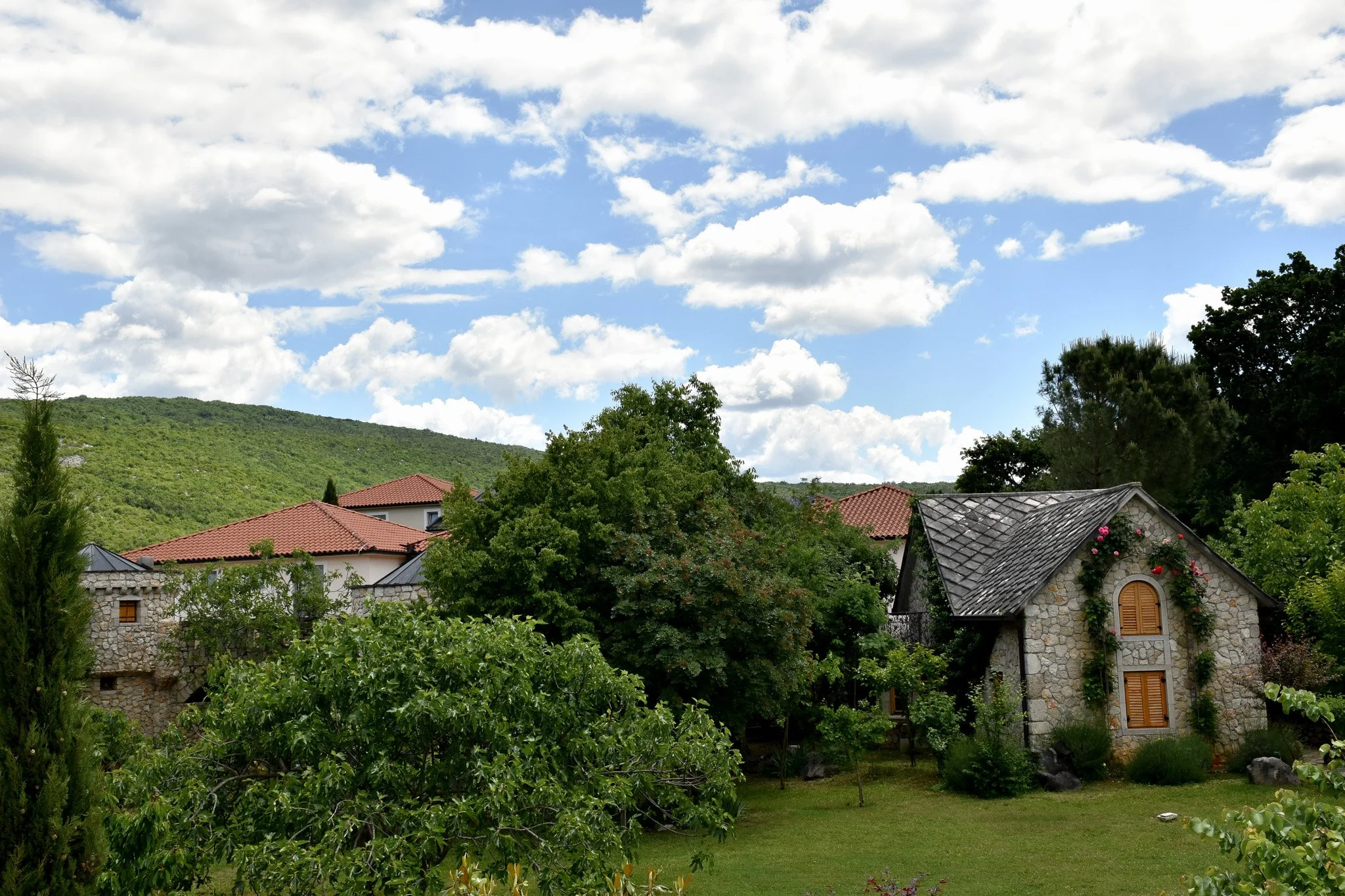 DSC_0366.jpg