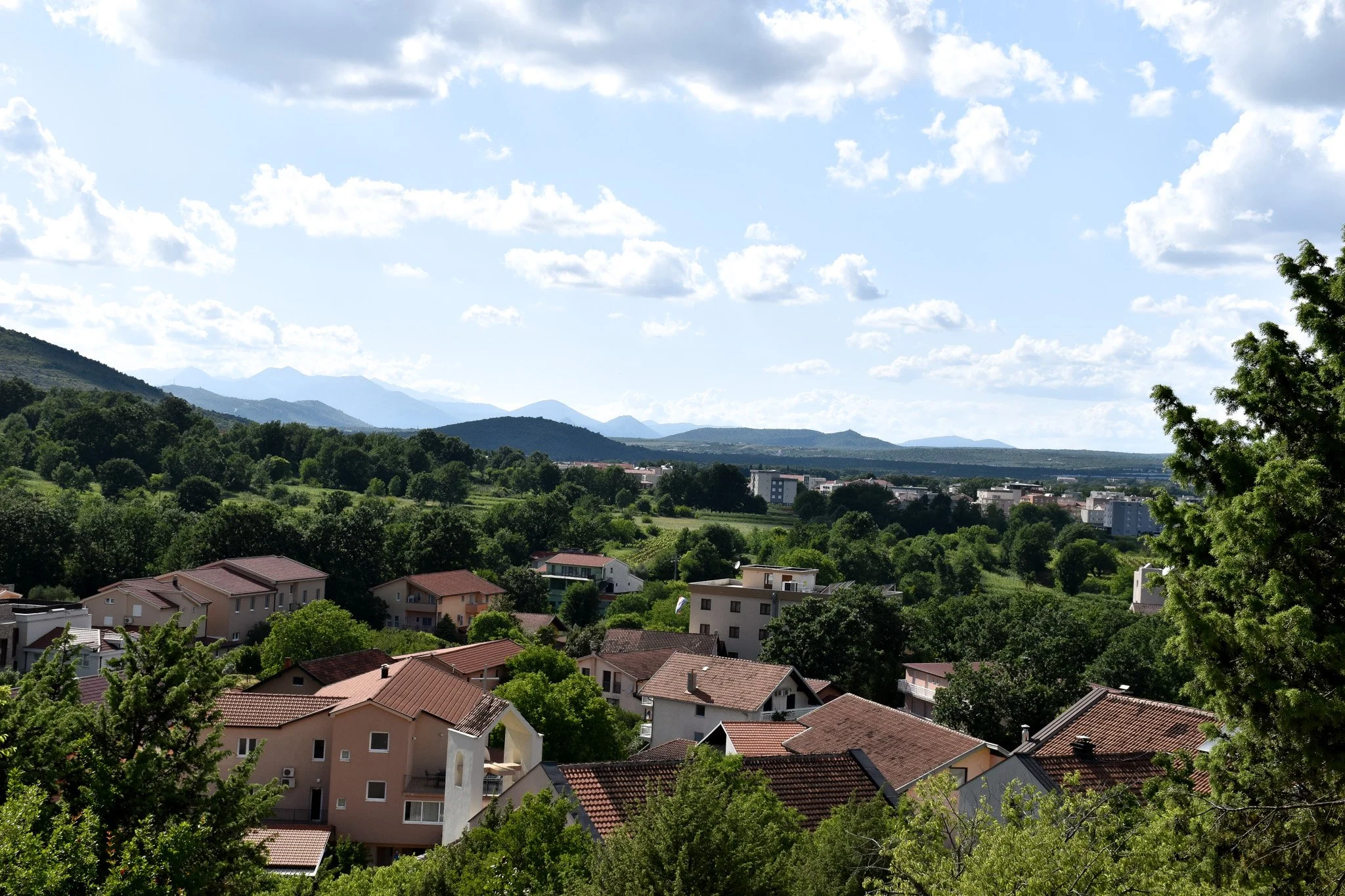 DSC_0450.jpg