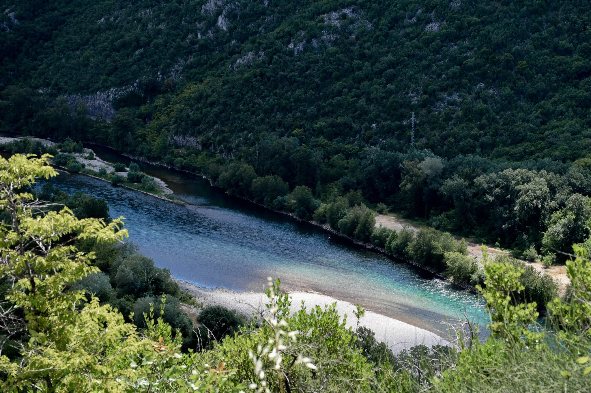 DSC_0424.jpg