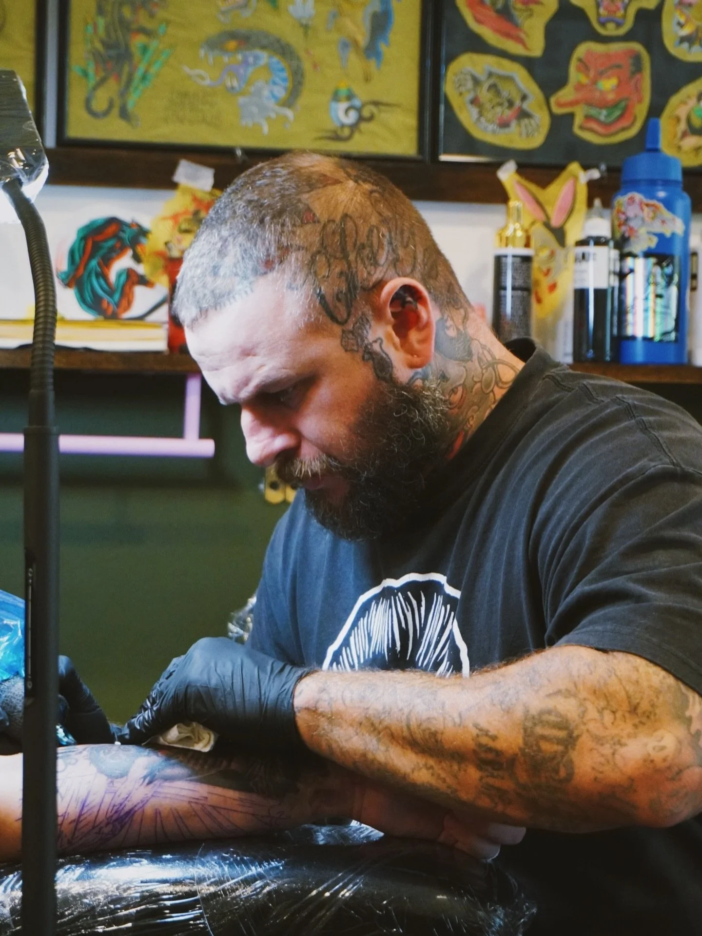 @jarrad_tattooz doing what he does&hellip; smooth blends and realism styles in progress.

SHOP LIC NO: 012136