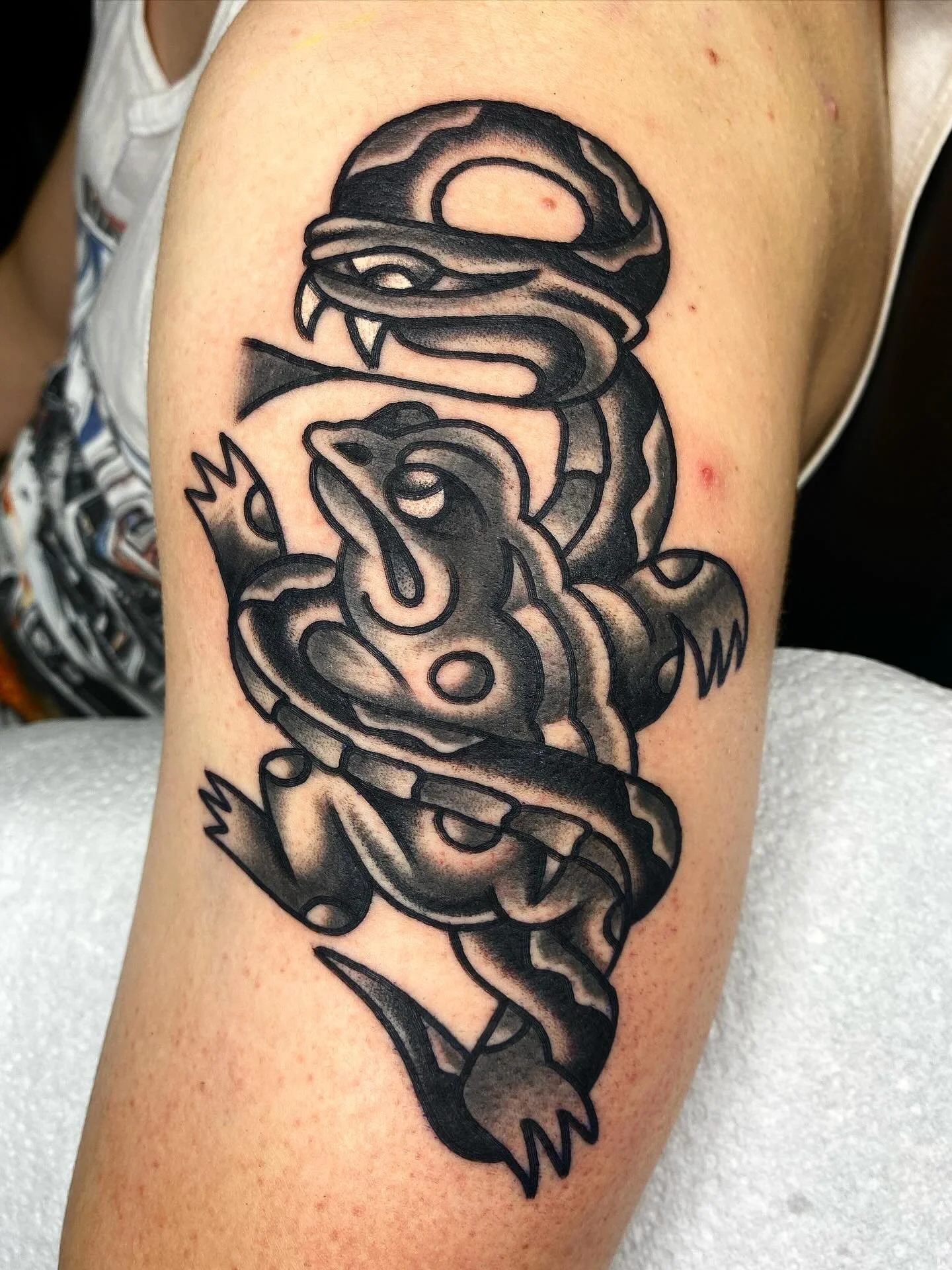 Haydn Stuckey (@hiiidn)