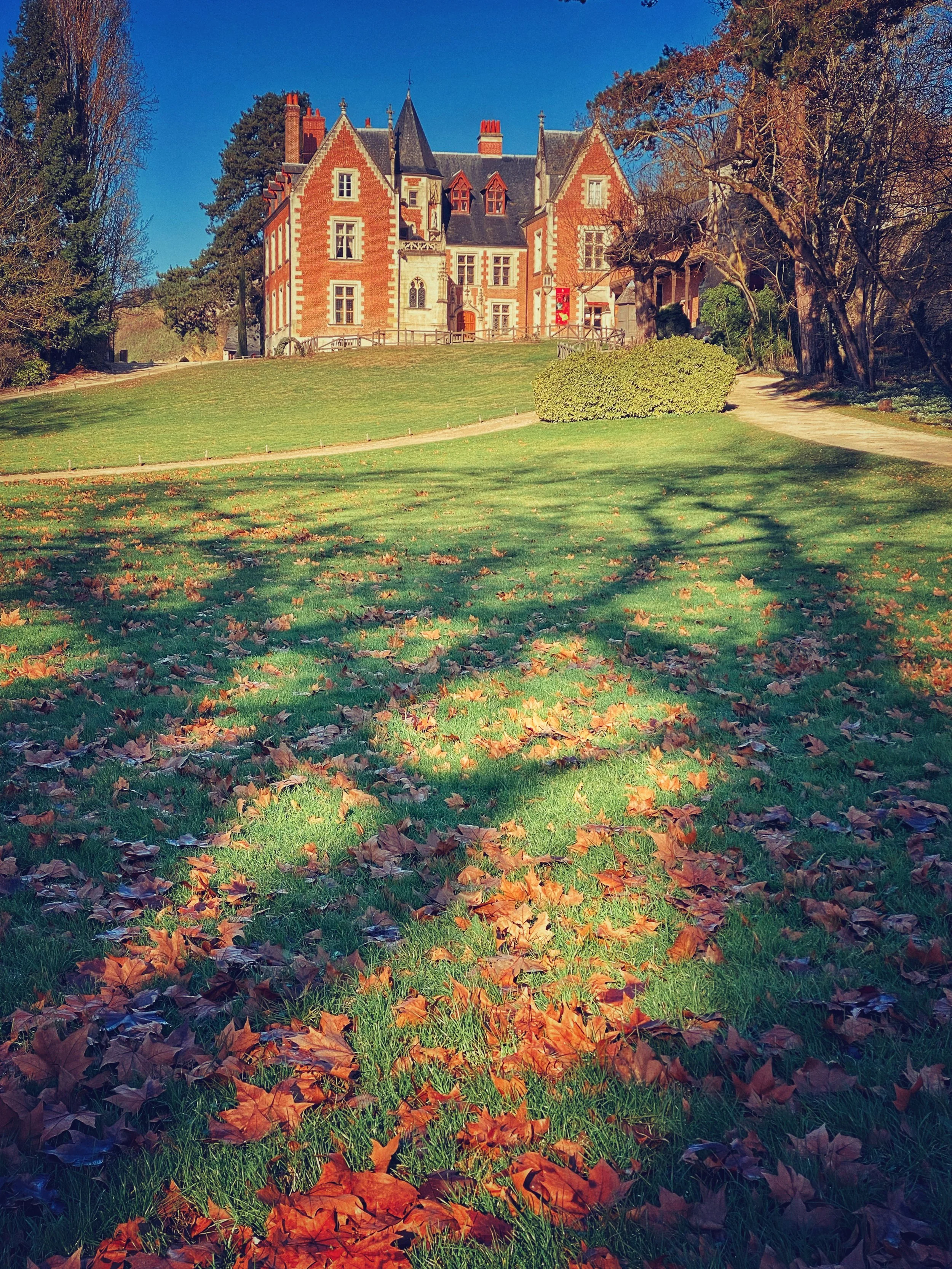 2020-01  Amboise-01 France 昂布瓦兹-1  法国.jpg