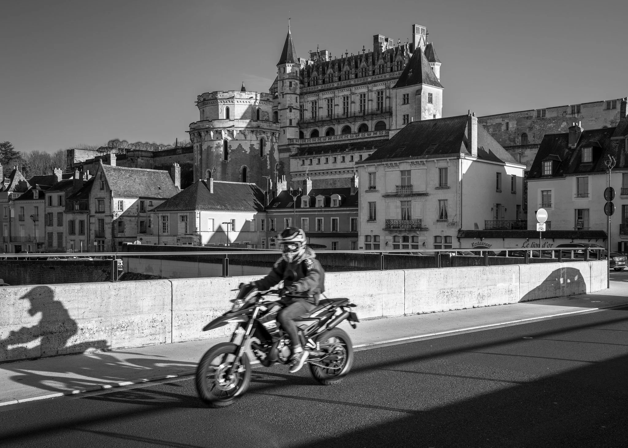 2020  Amboise 01  France.jpg